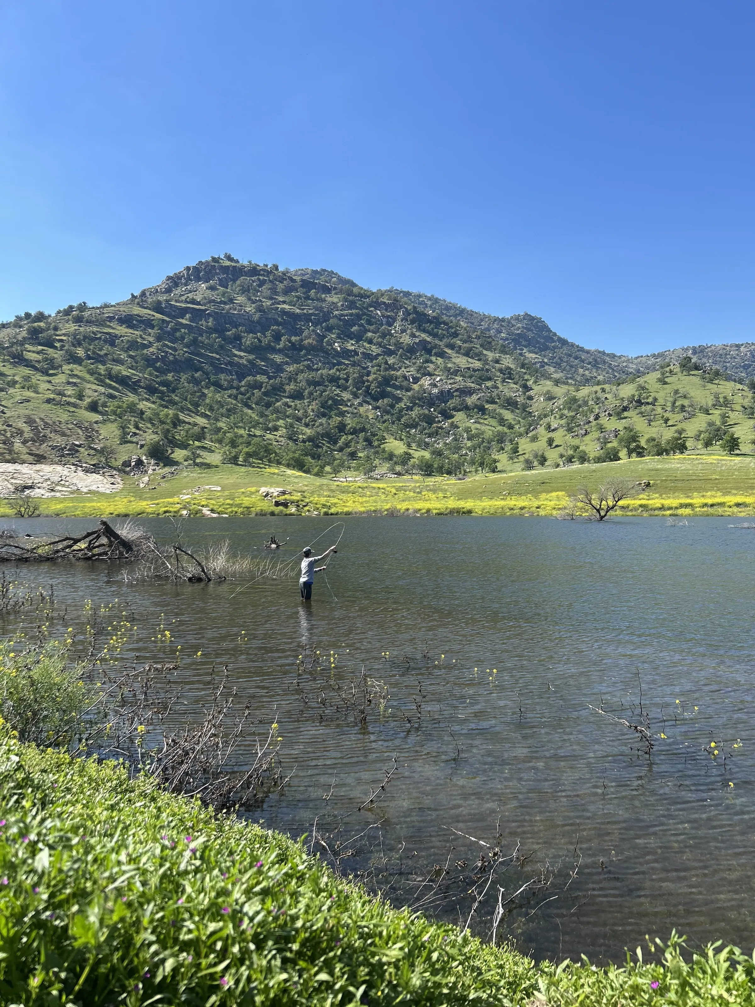 California Creek