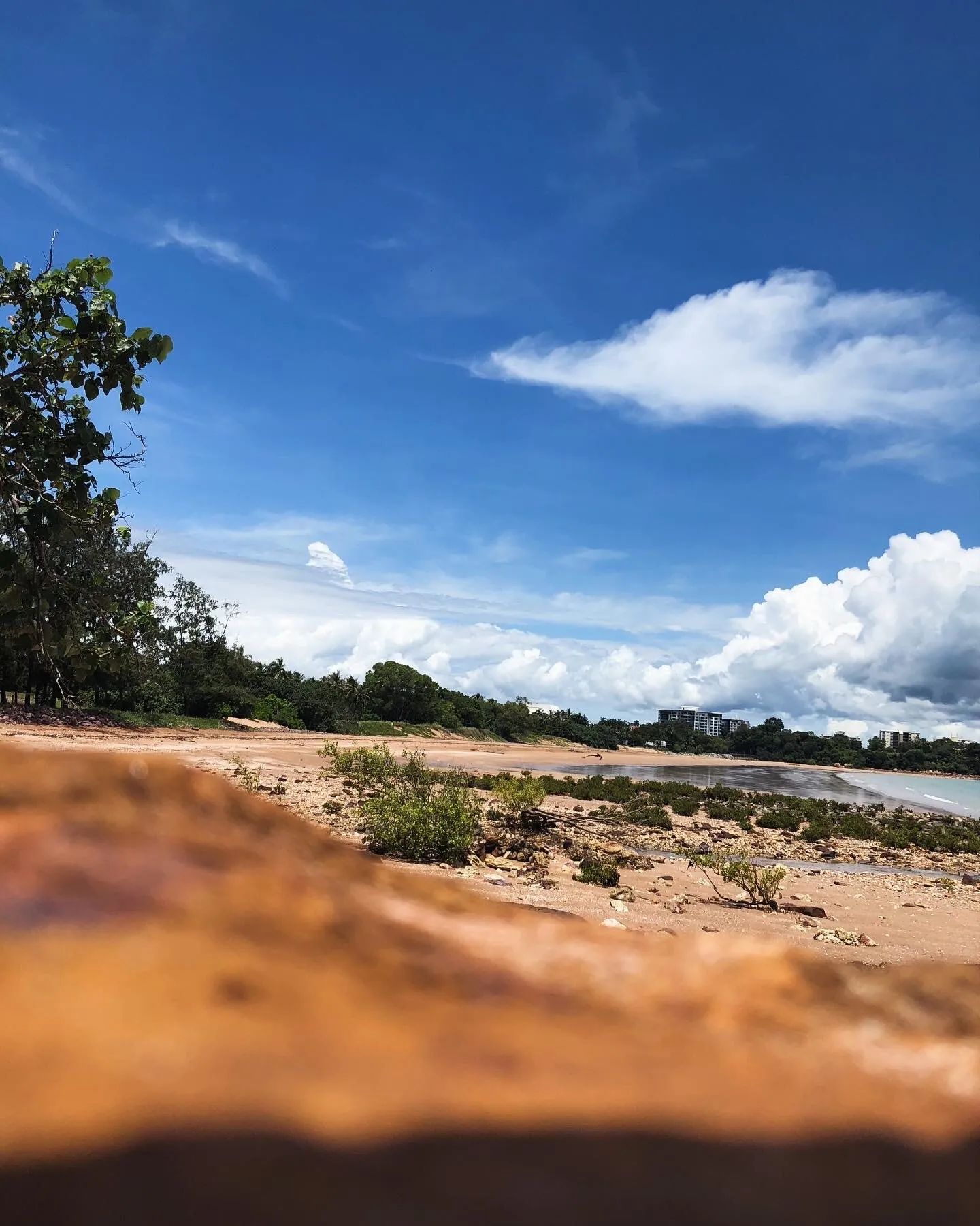 Ants perspective