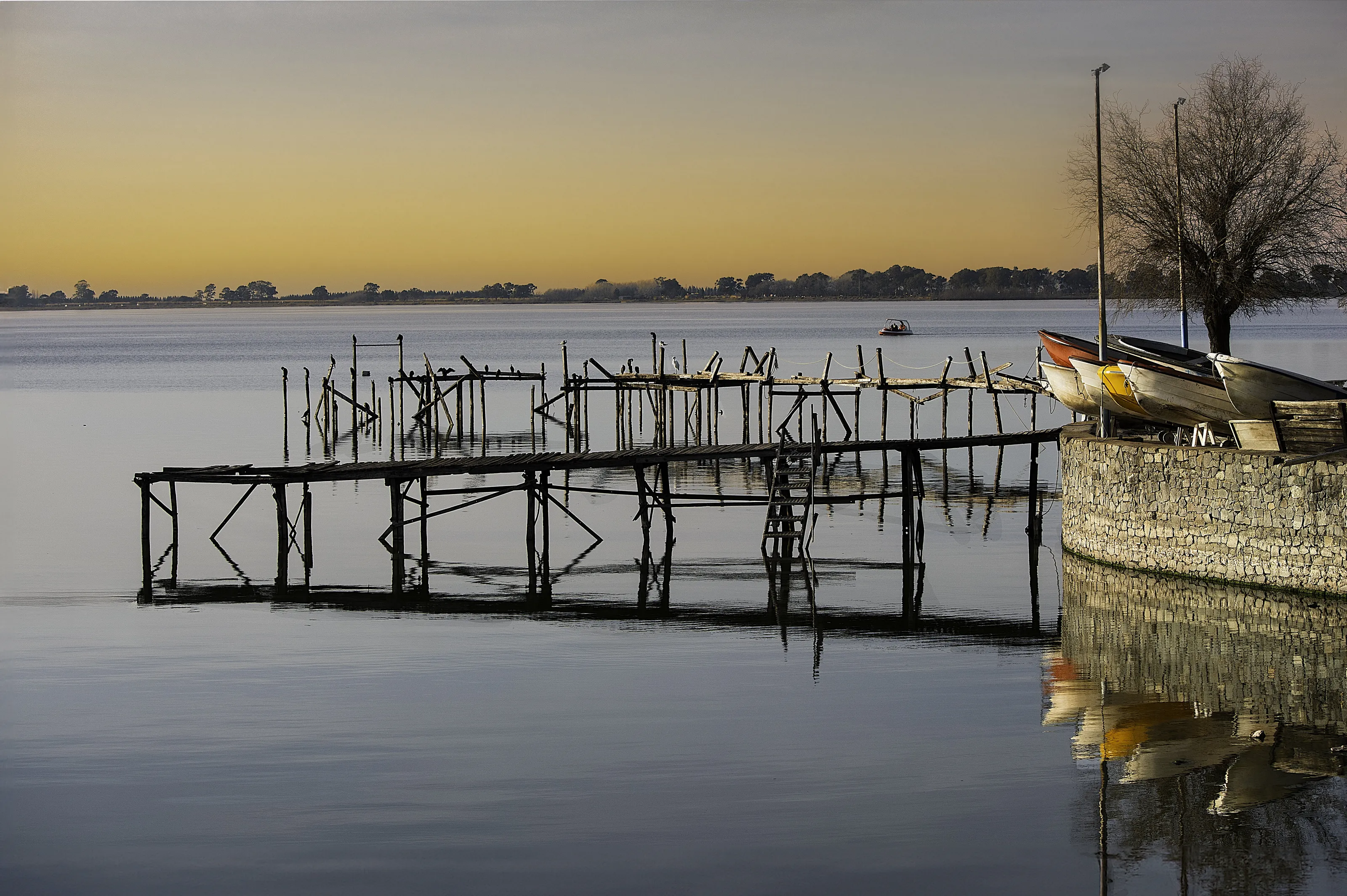 Reflejos en la laguna de Chascomus