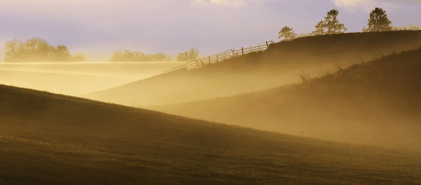 Dawn mist