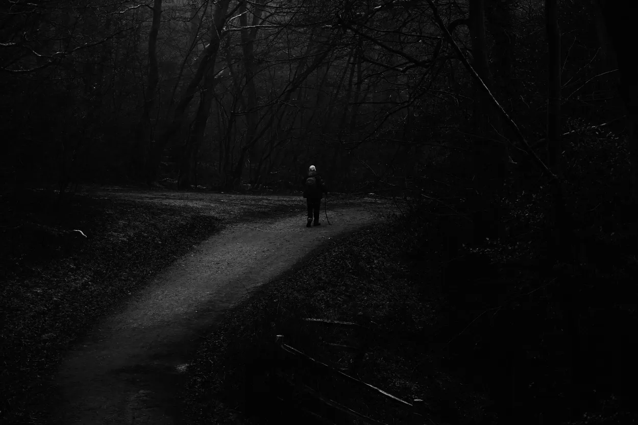 Entry 23720909