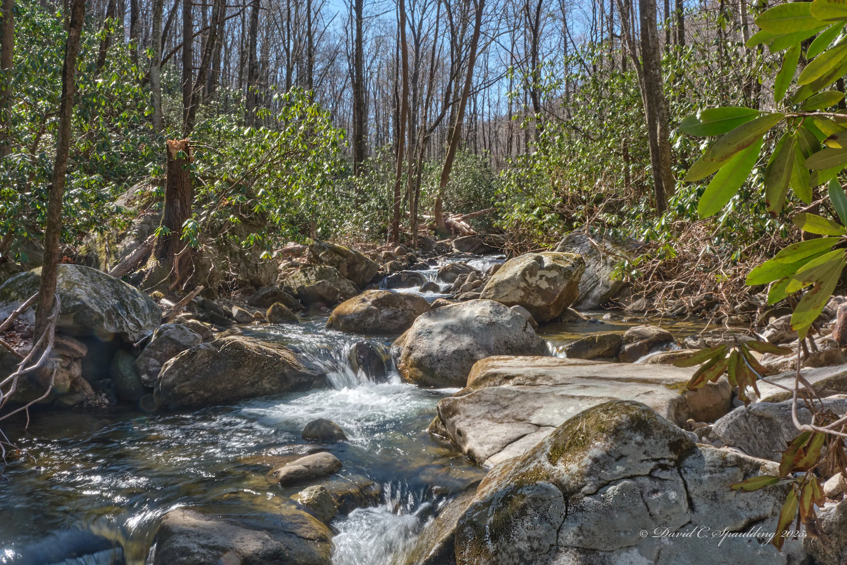 Along the River