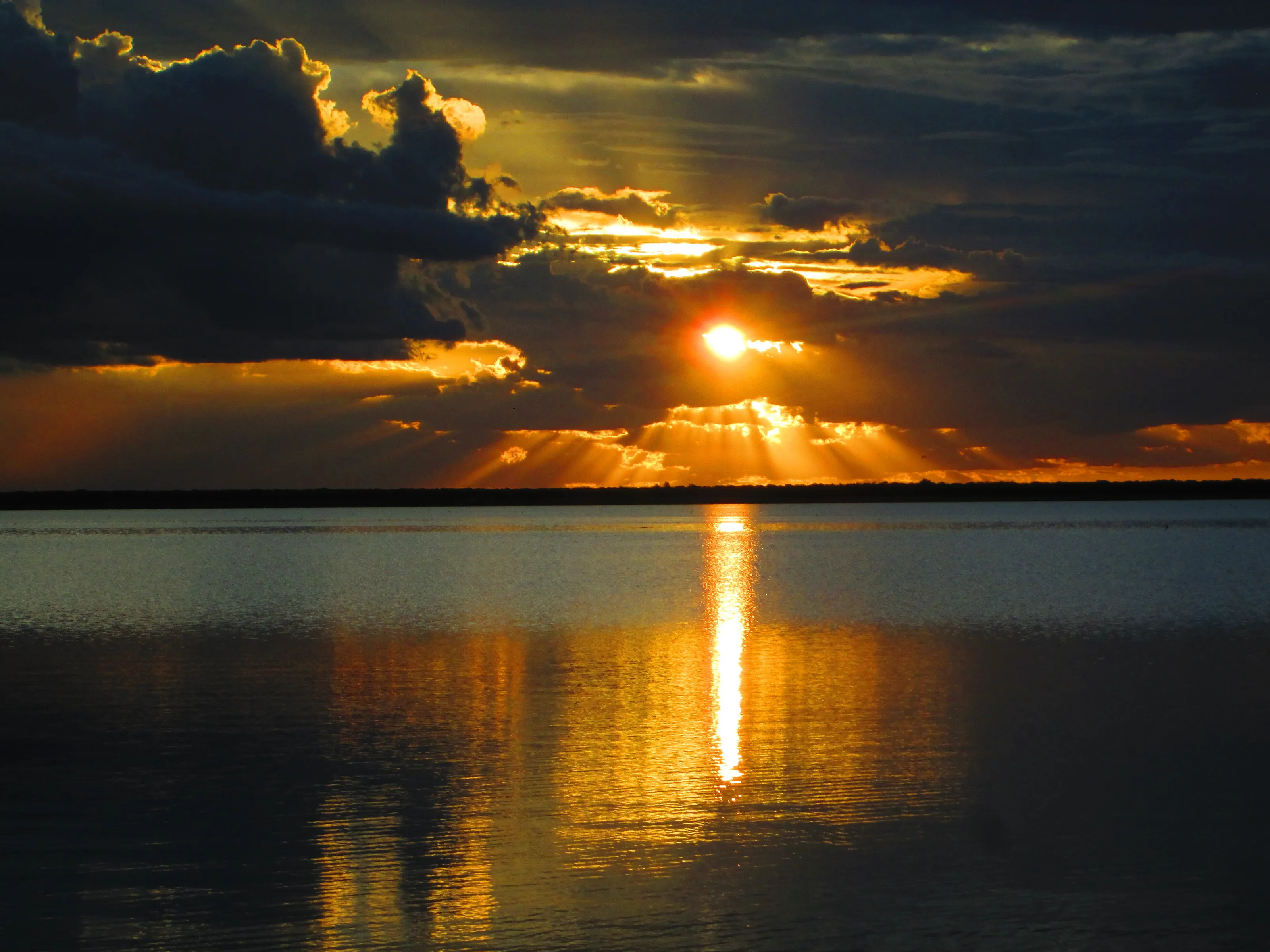 Orange on the water