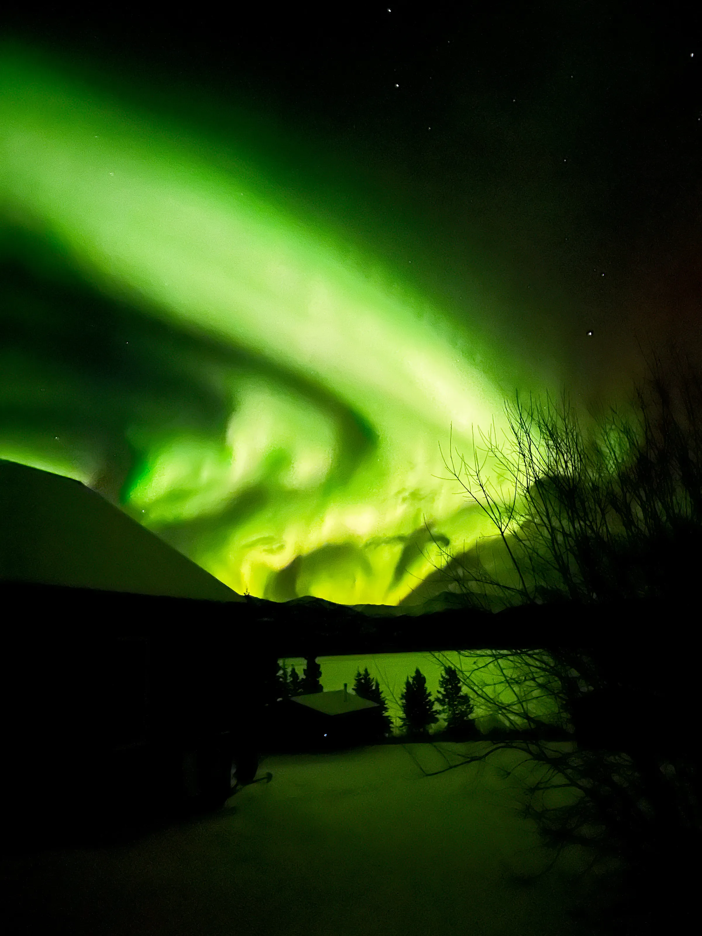 Canadian Auroras