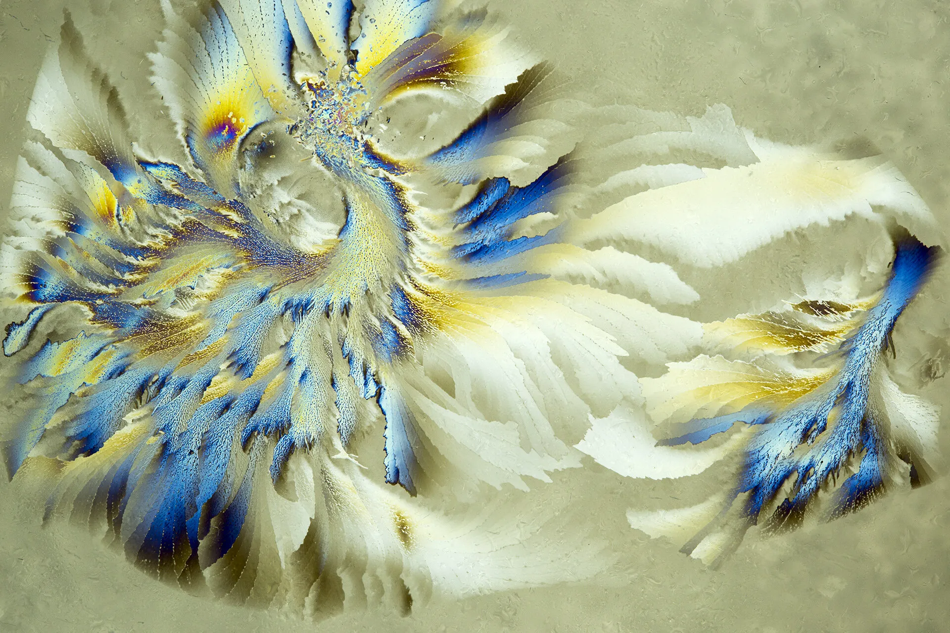 Ice Shards