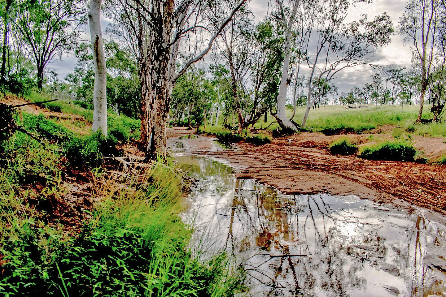 One Mile Gin Creek Queensland Australia
