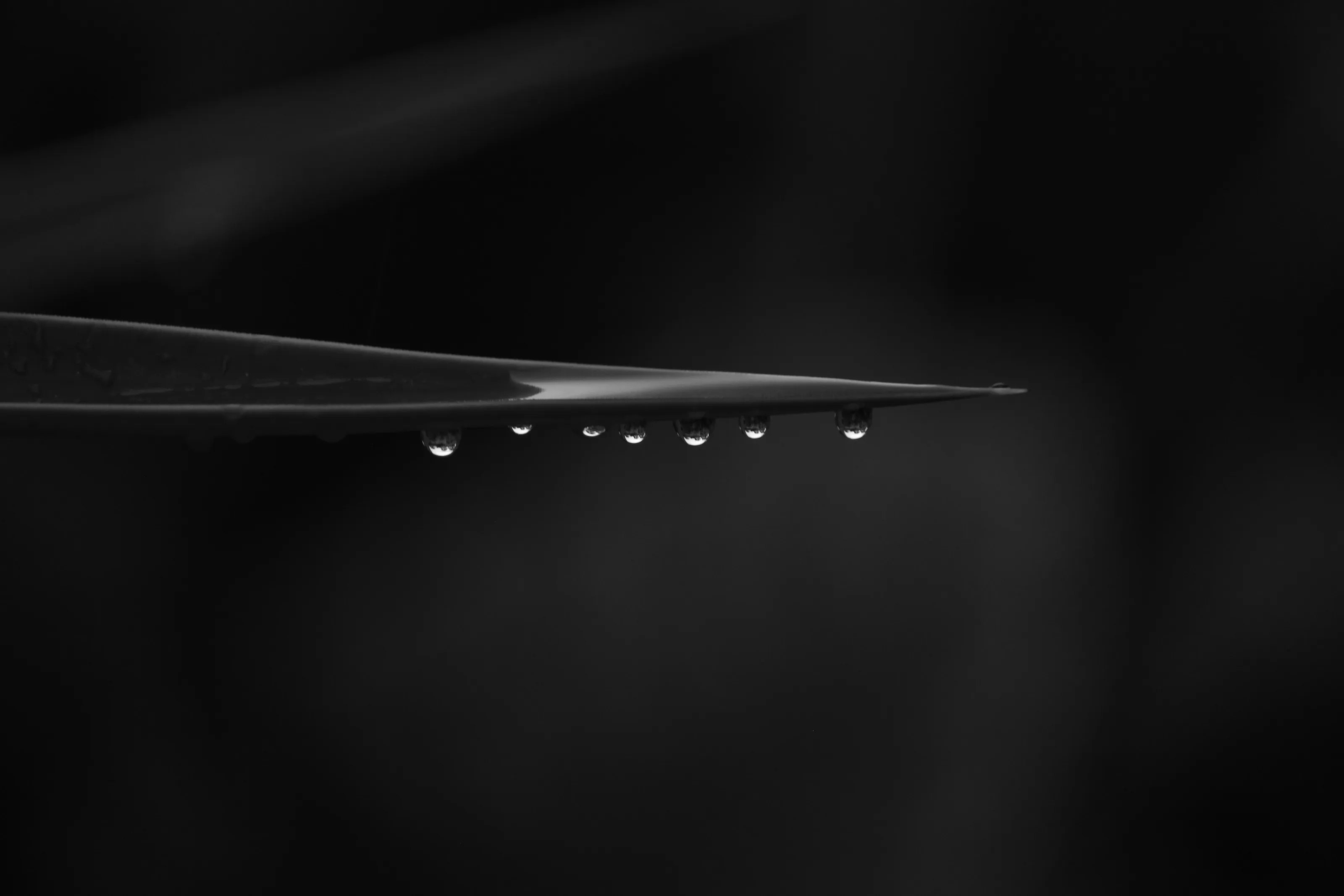 Raindrop leaf