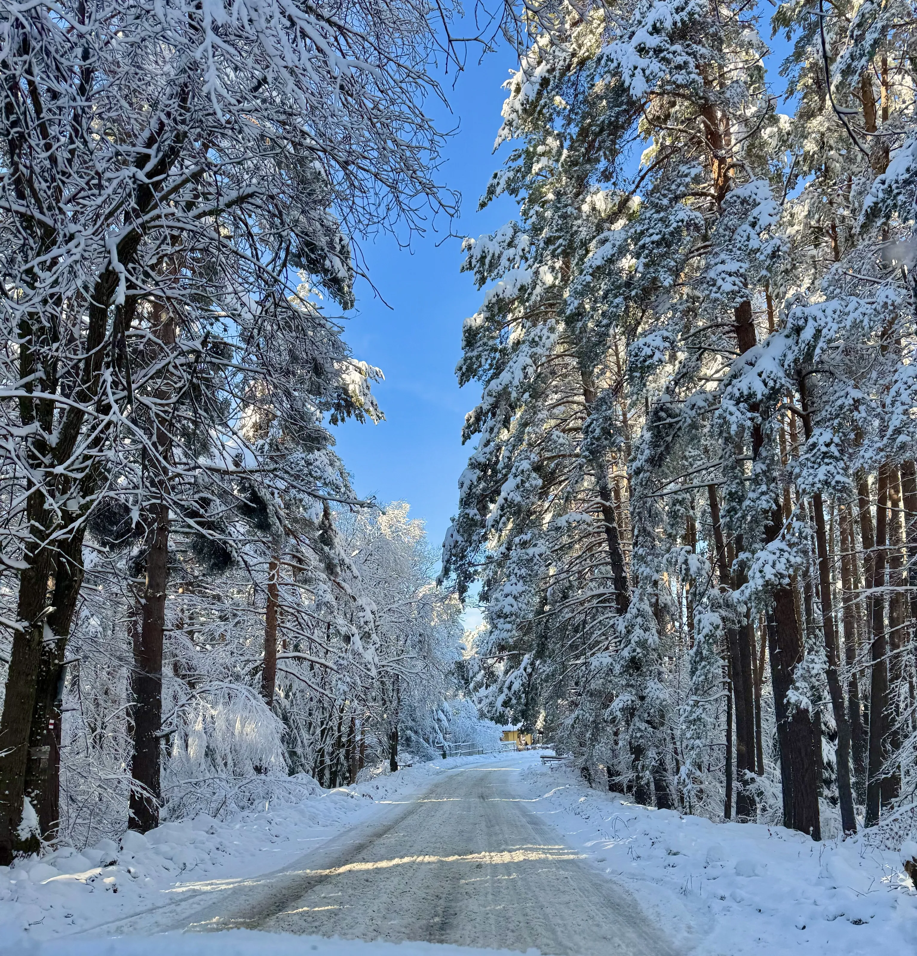 Winter in Bulgaria