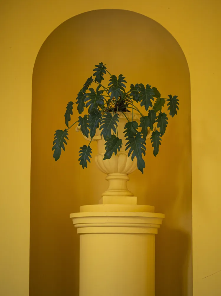 Green on Yellow