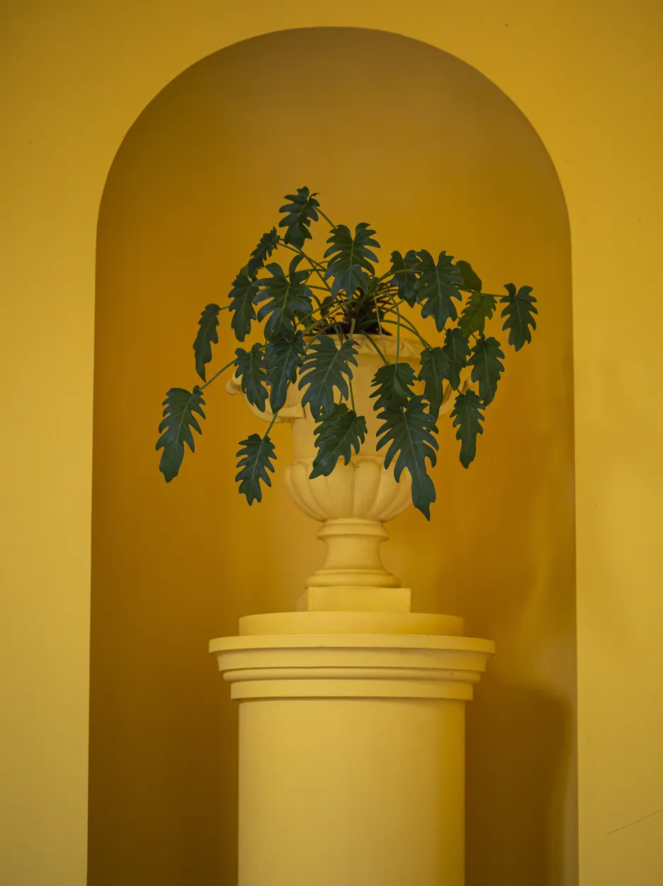 Green on Yellow