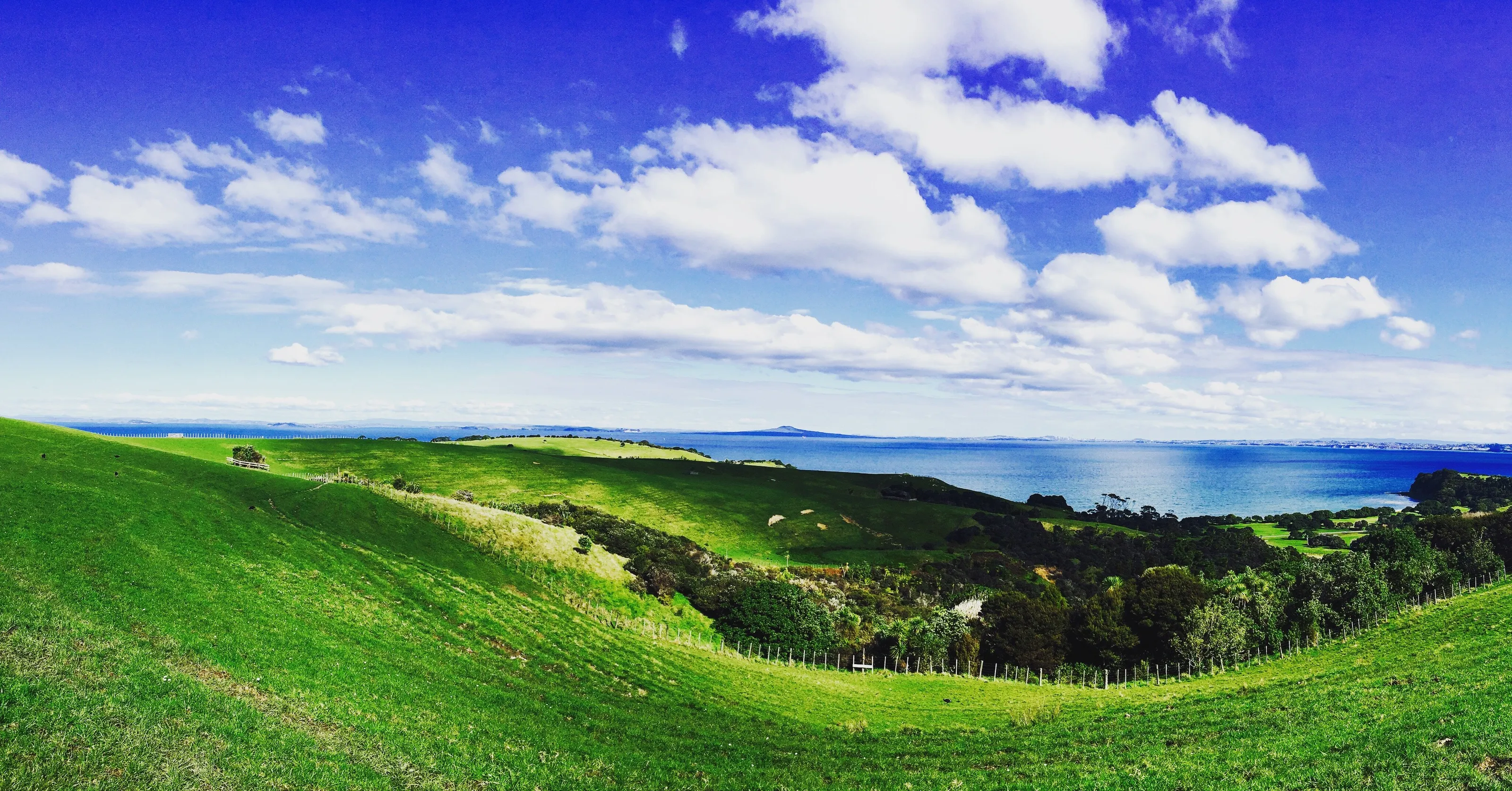 Views of home