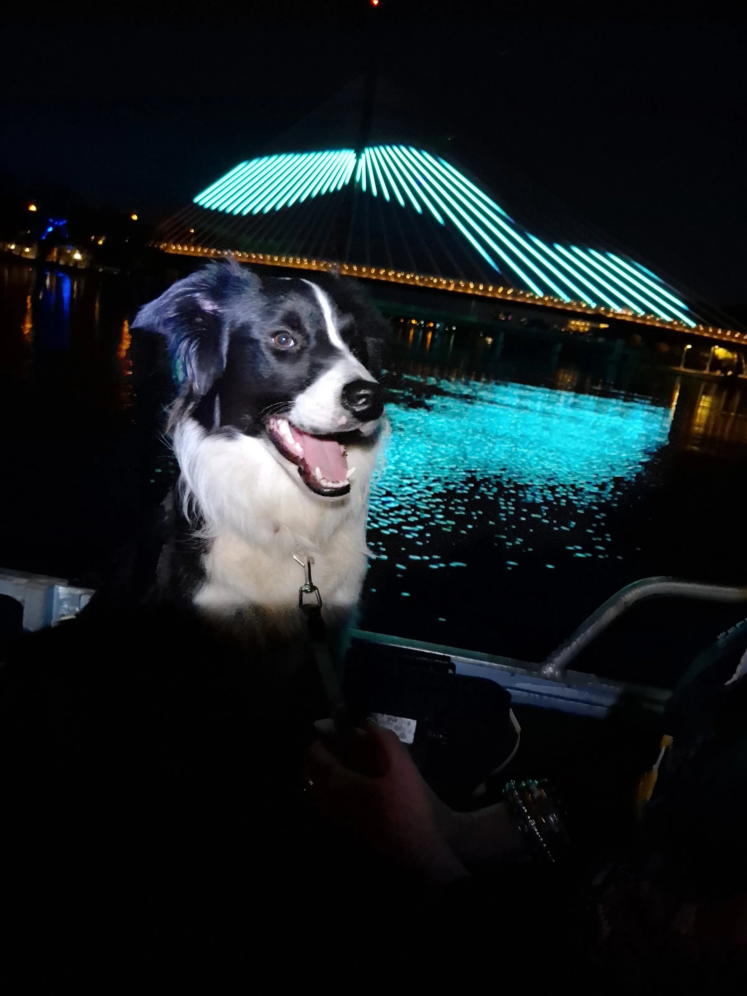 Ella on the boat