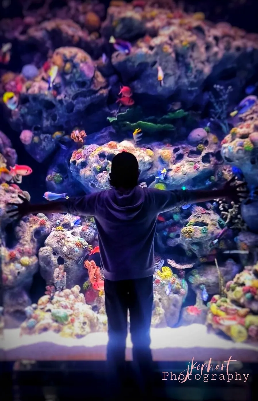 Underwater World