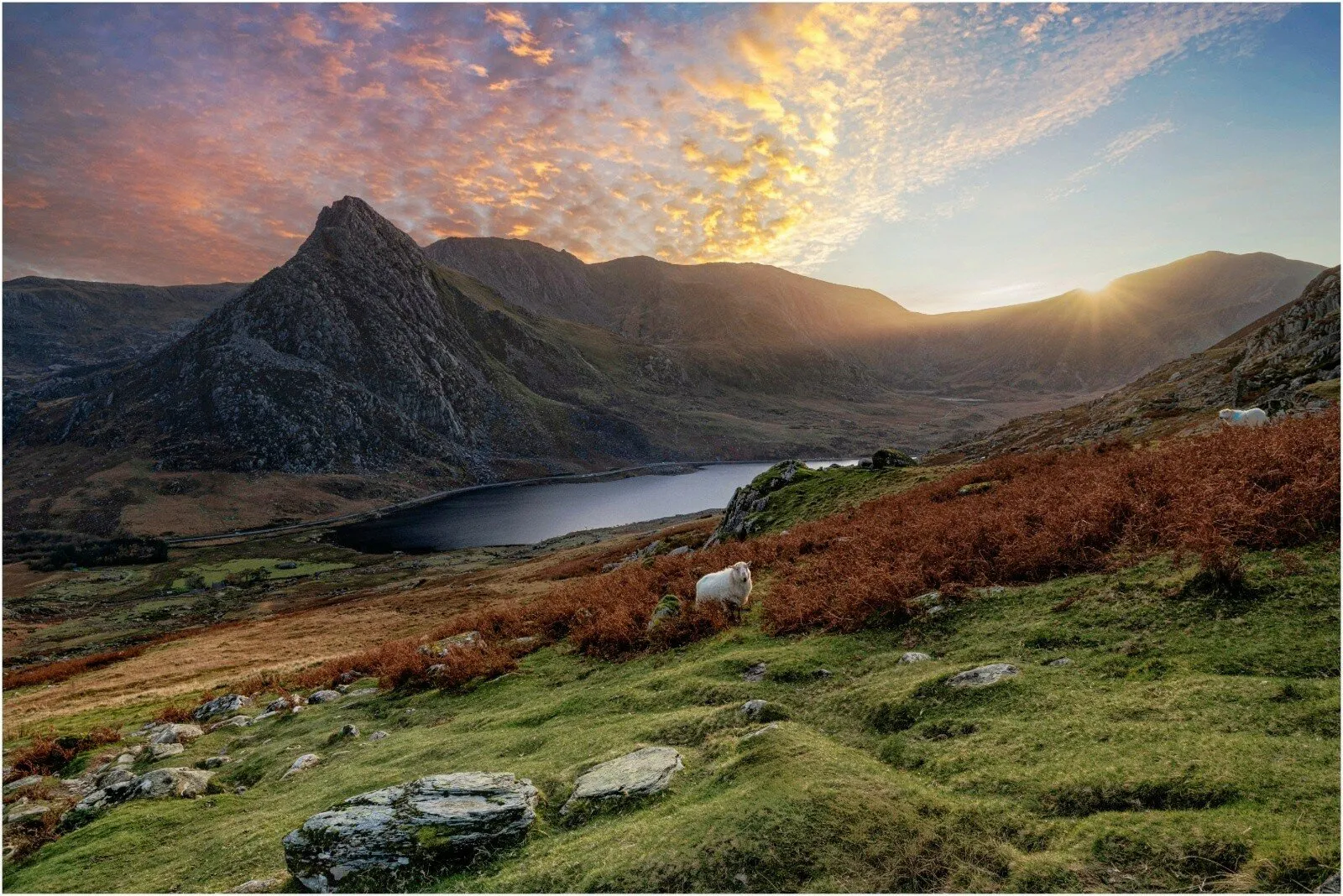 Tryfan at sunset..