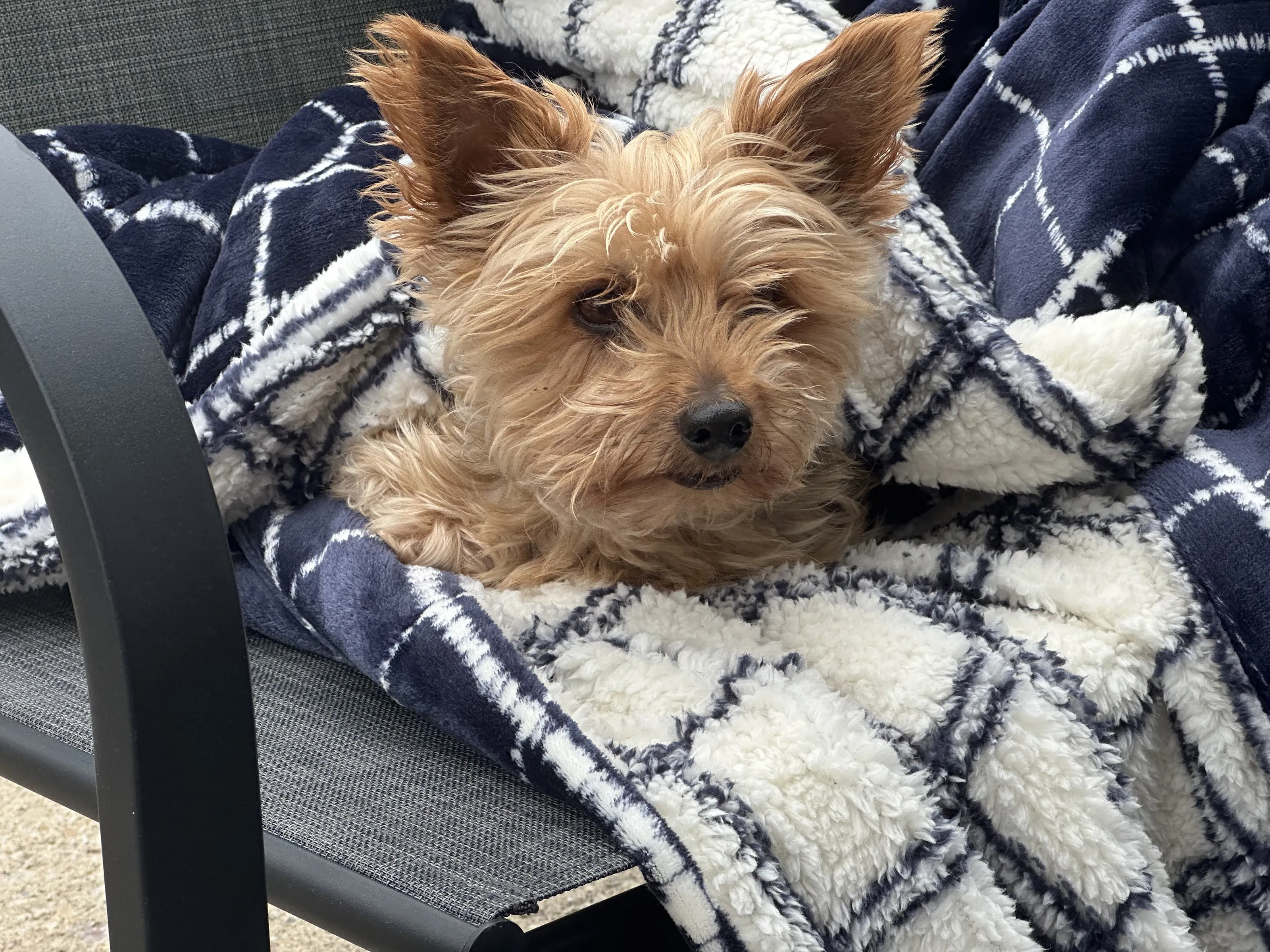 lounging on a patio chair