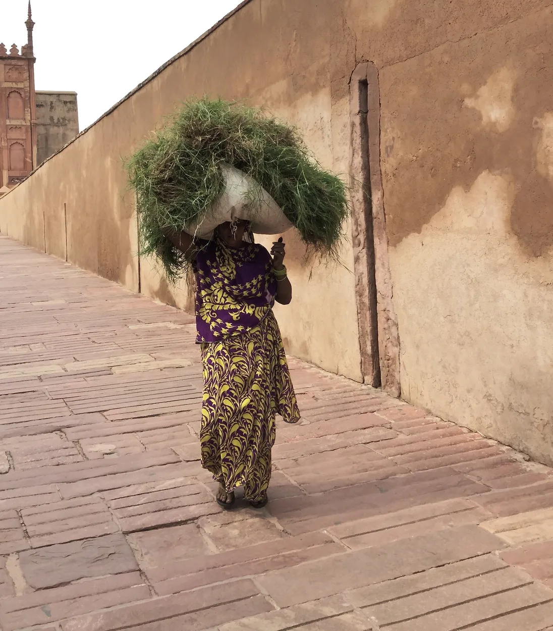Entry 23758325