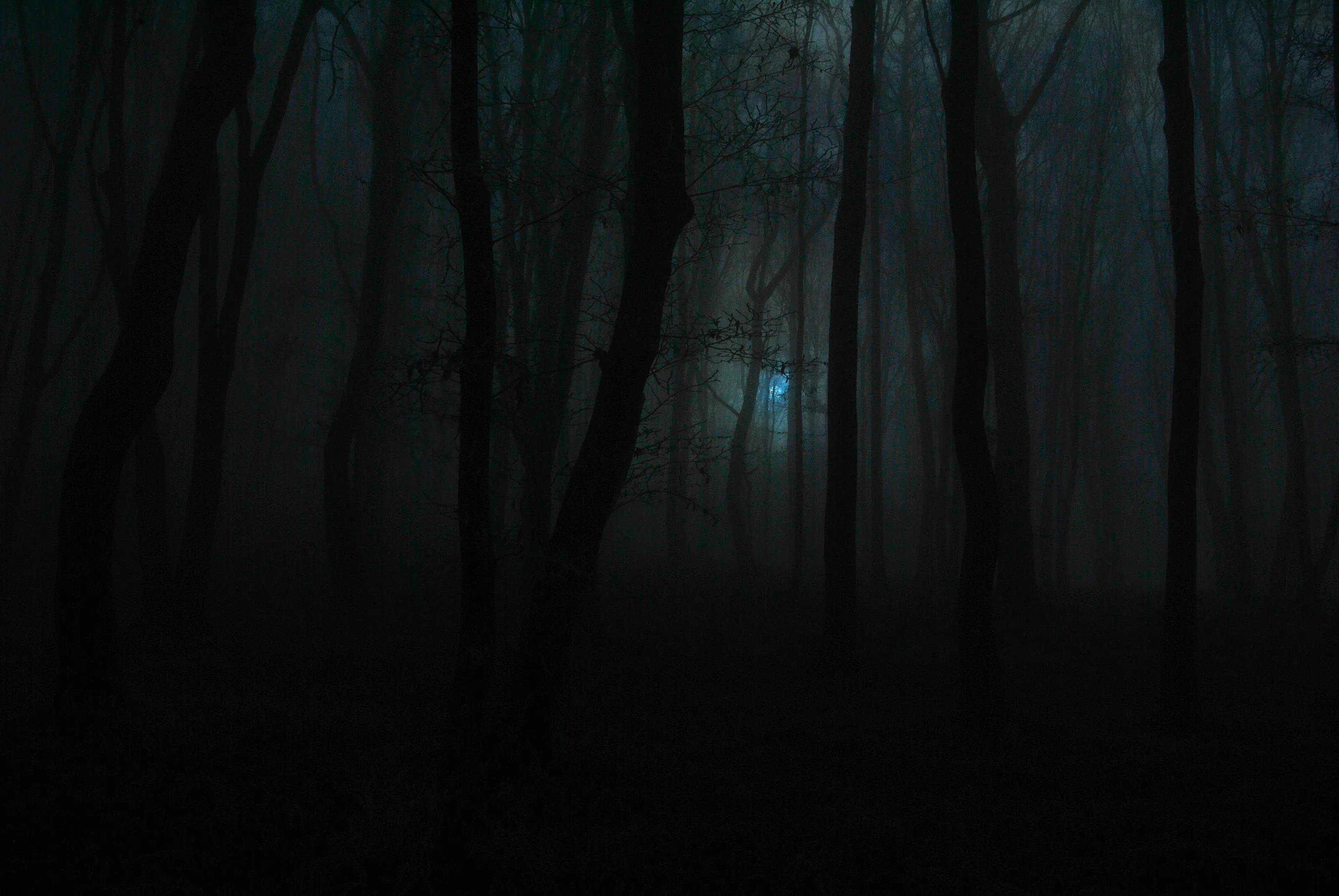 Dark forest, blue sun