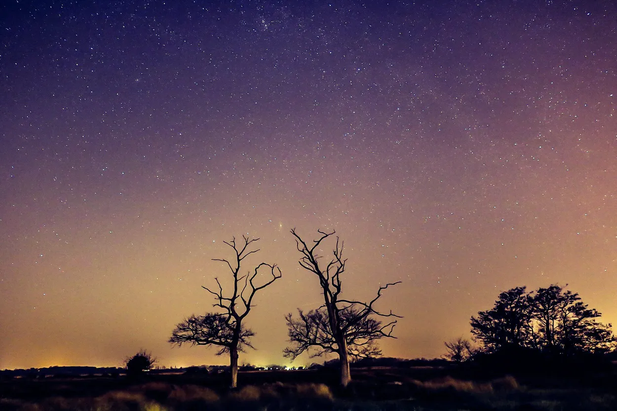 Entry 1189197