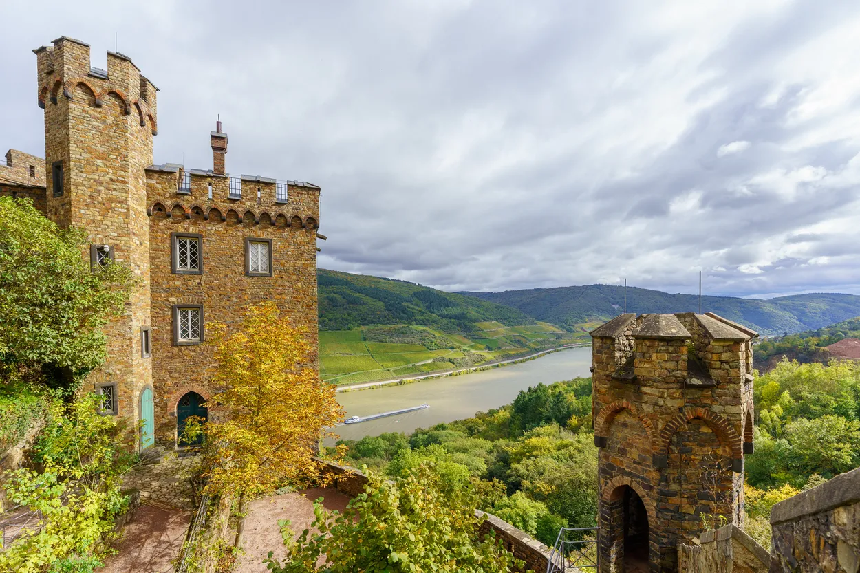 Entry 23819112