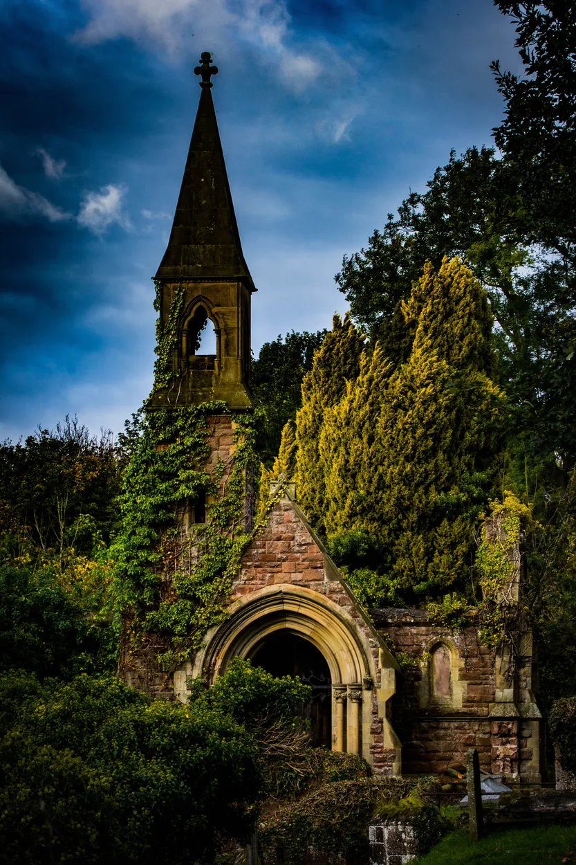 Entry 6398942