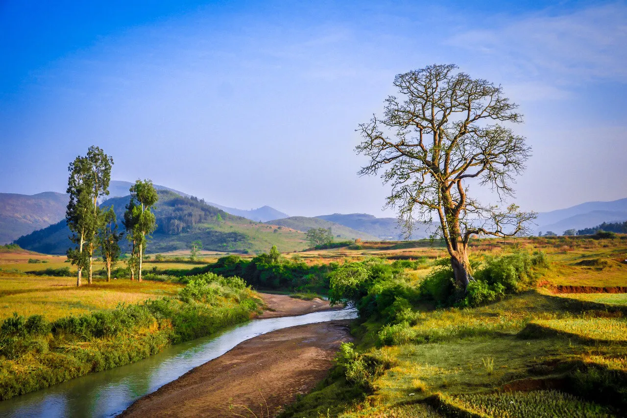 BEAUTYFUL NATURE