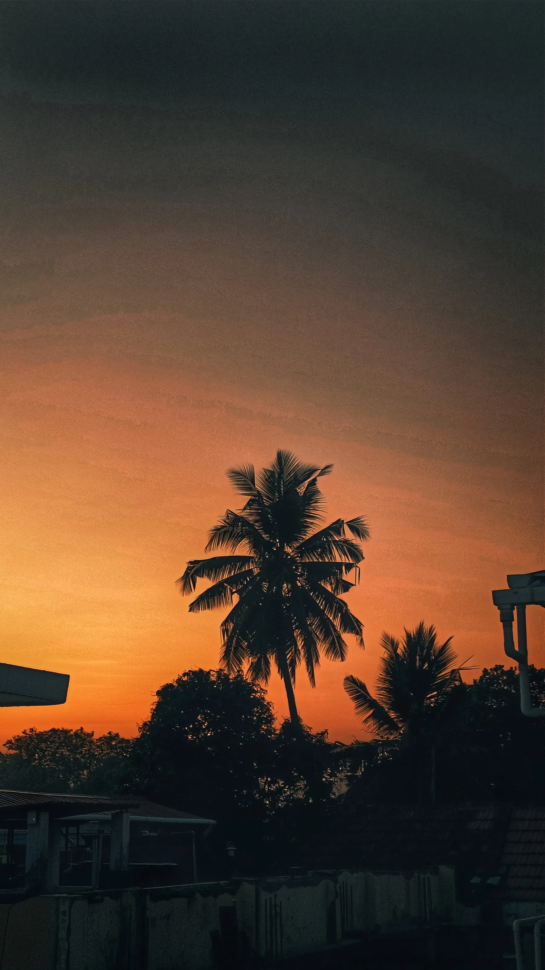 Silhouettes