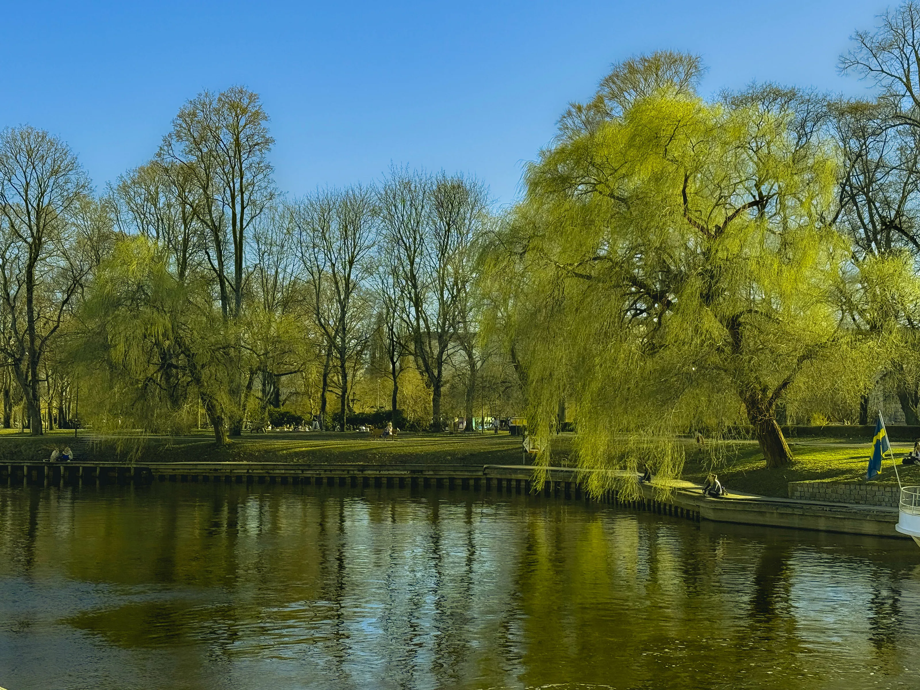 A touch of spring