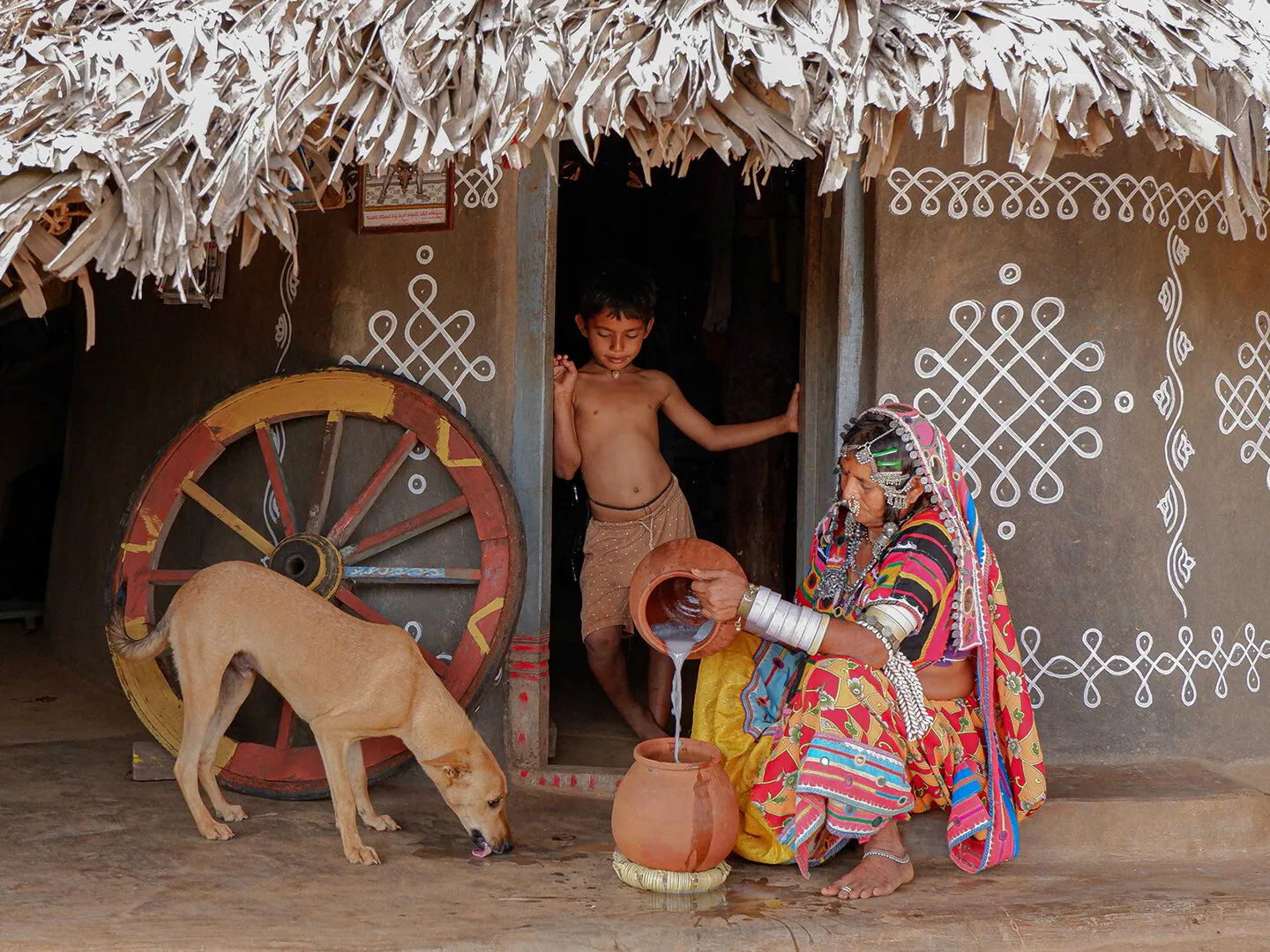 A Tribal women churning butter