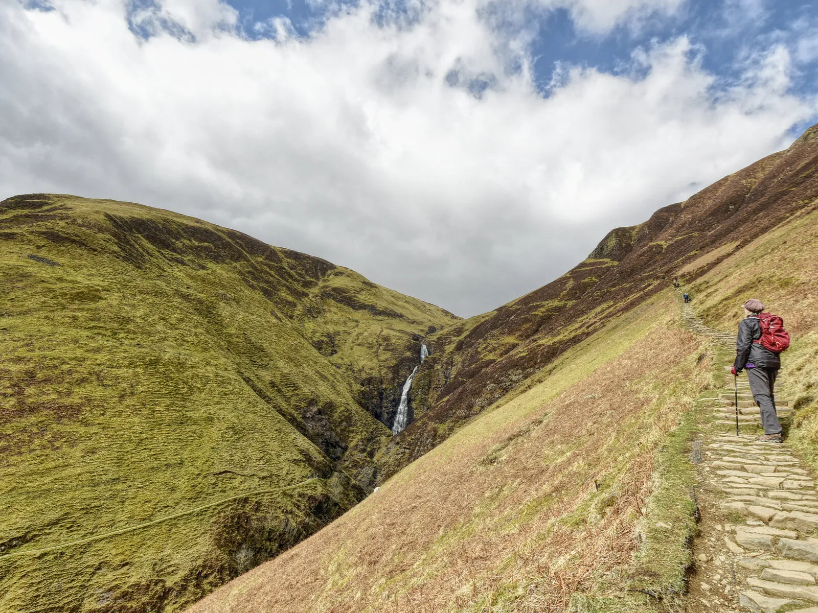 Grey mares tail