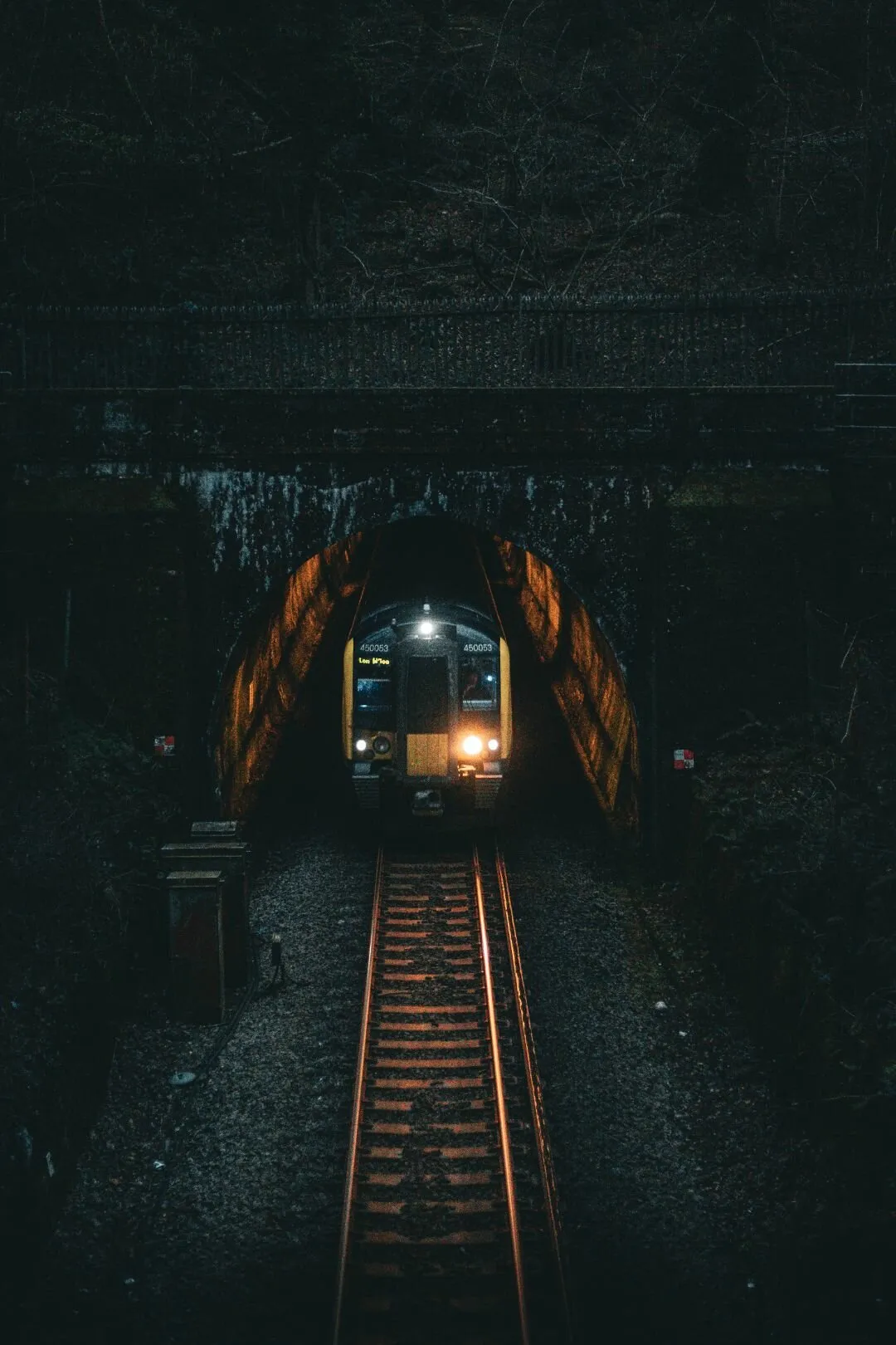 Banner image