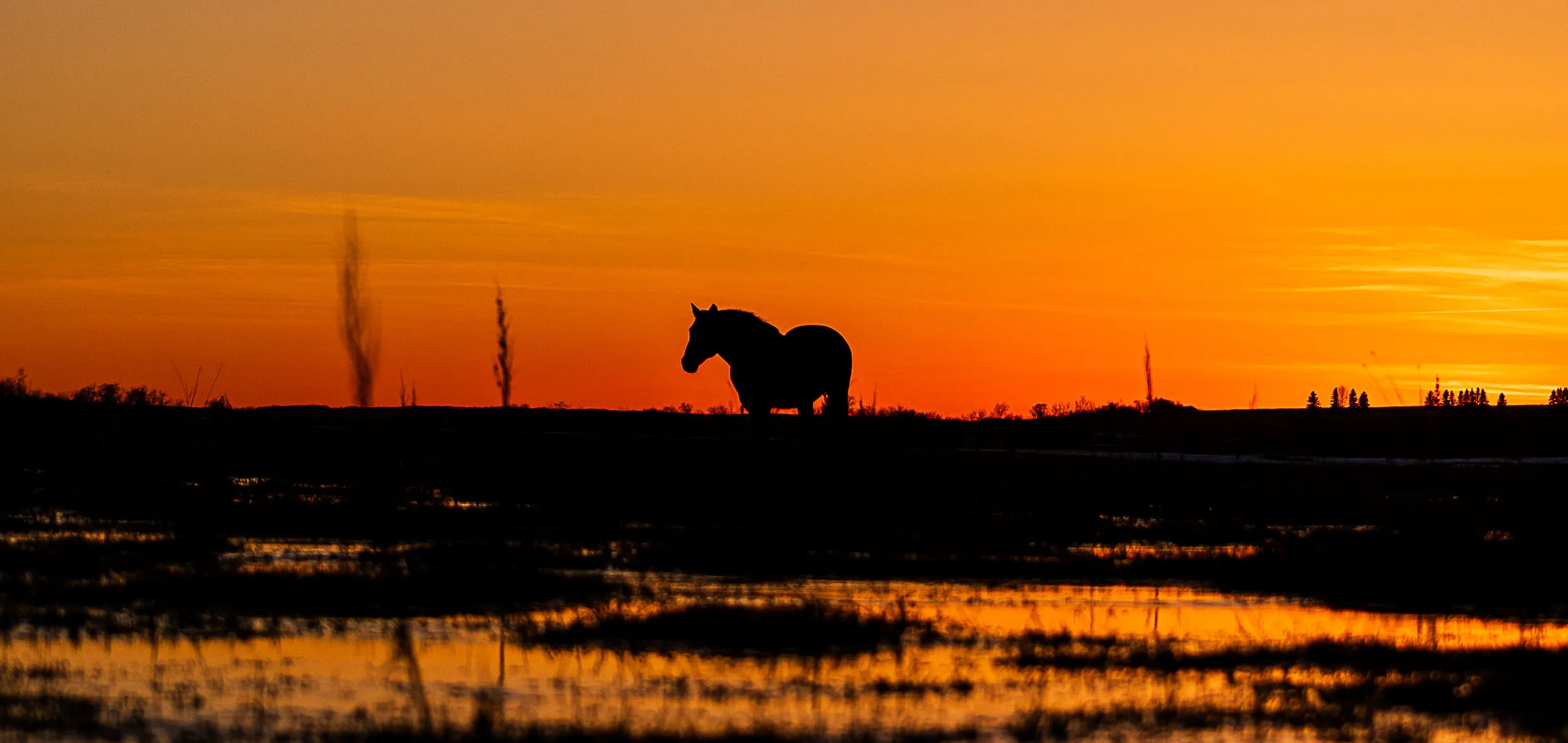 Silhouette In The Setting Sun