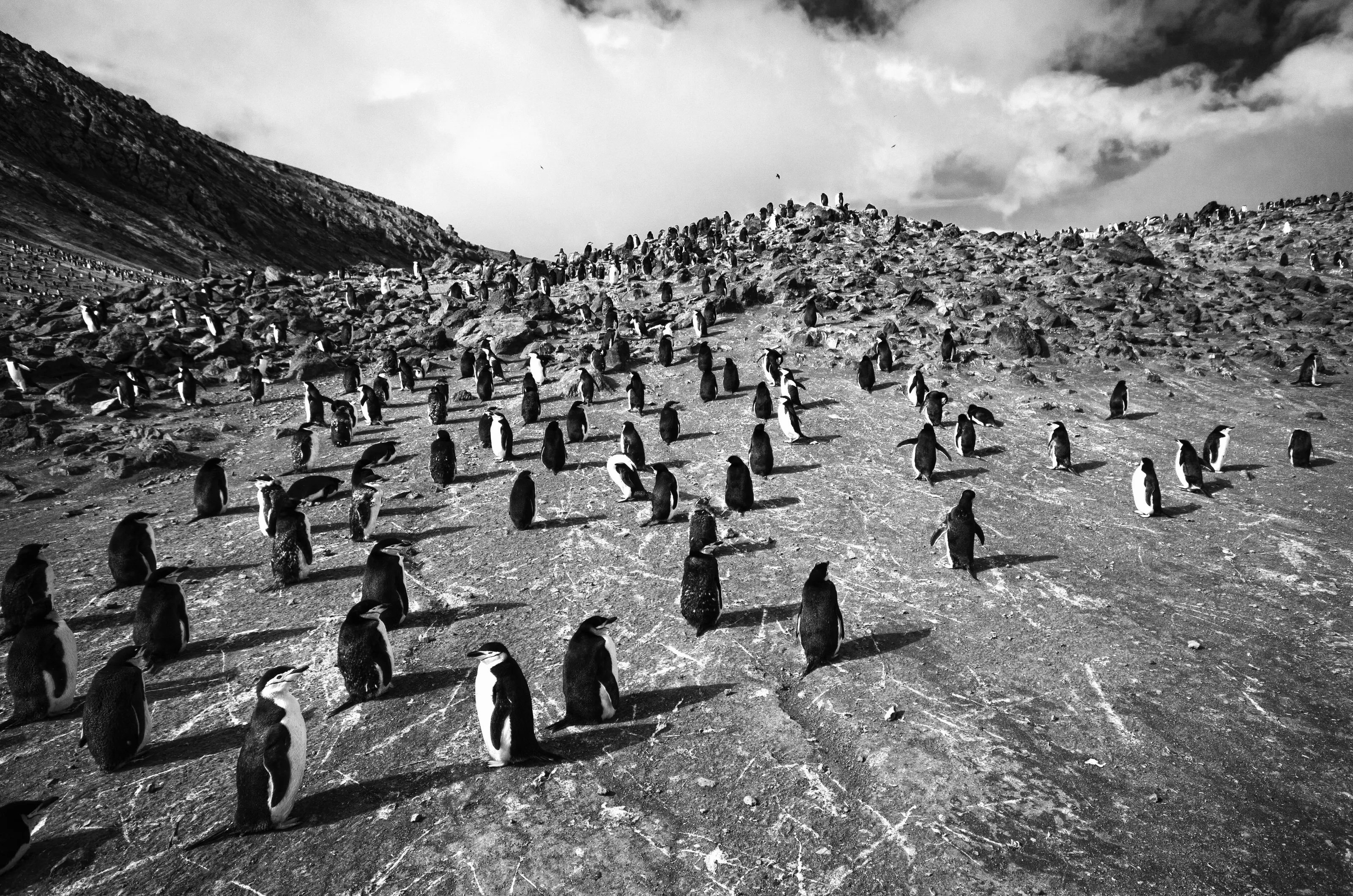 Deception Island