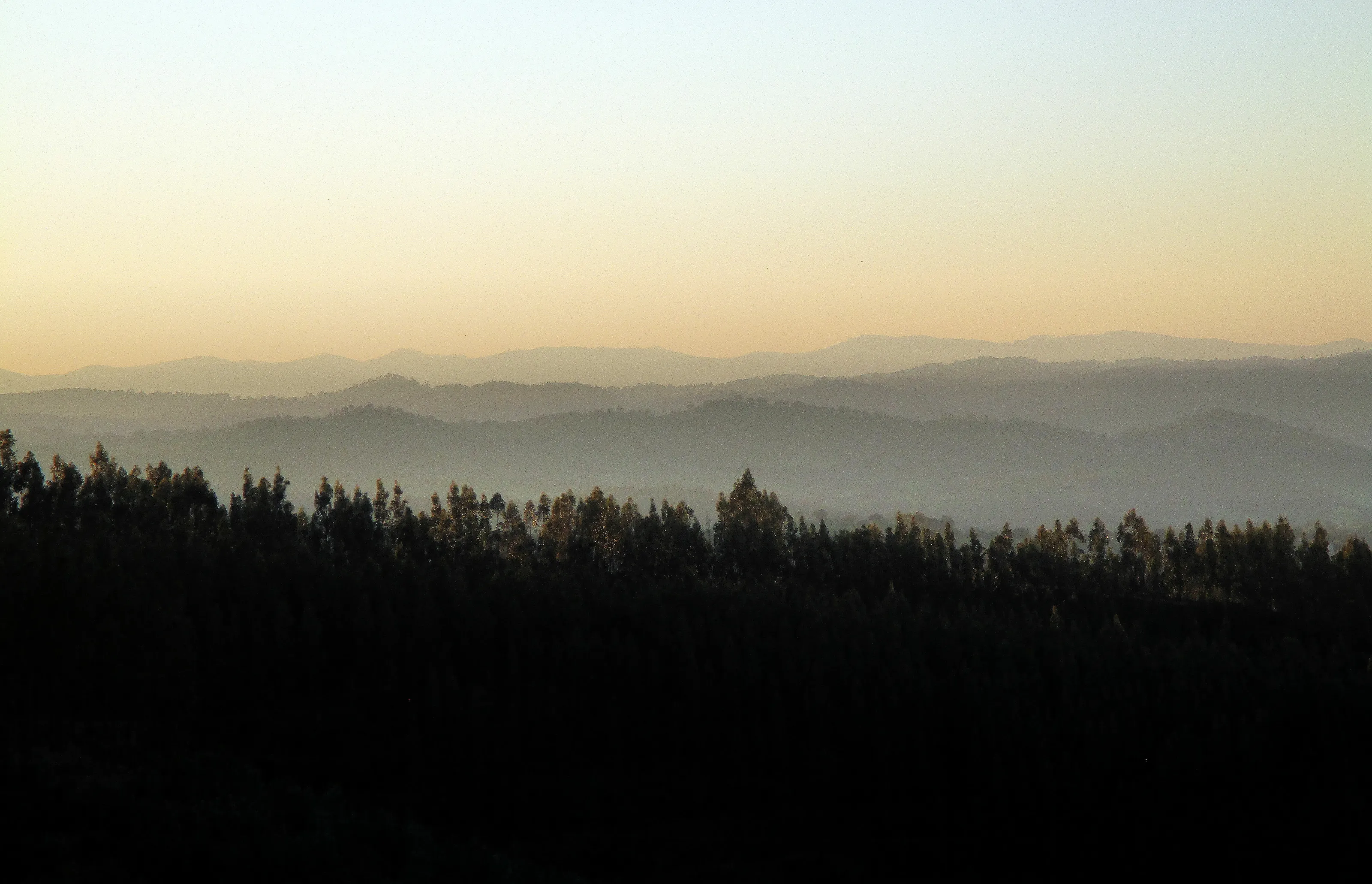 Dusk Mist