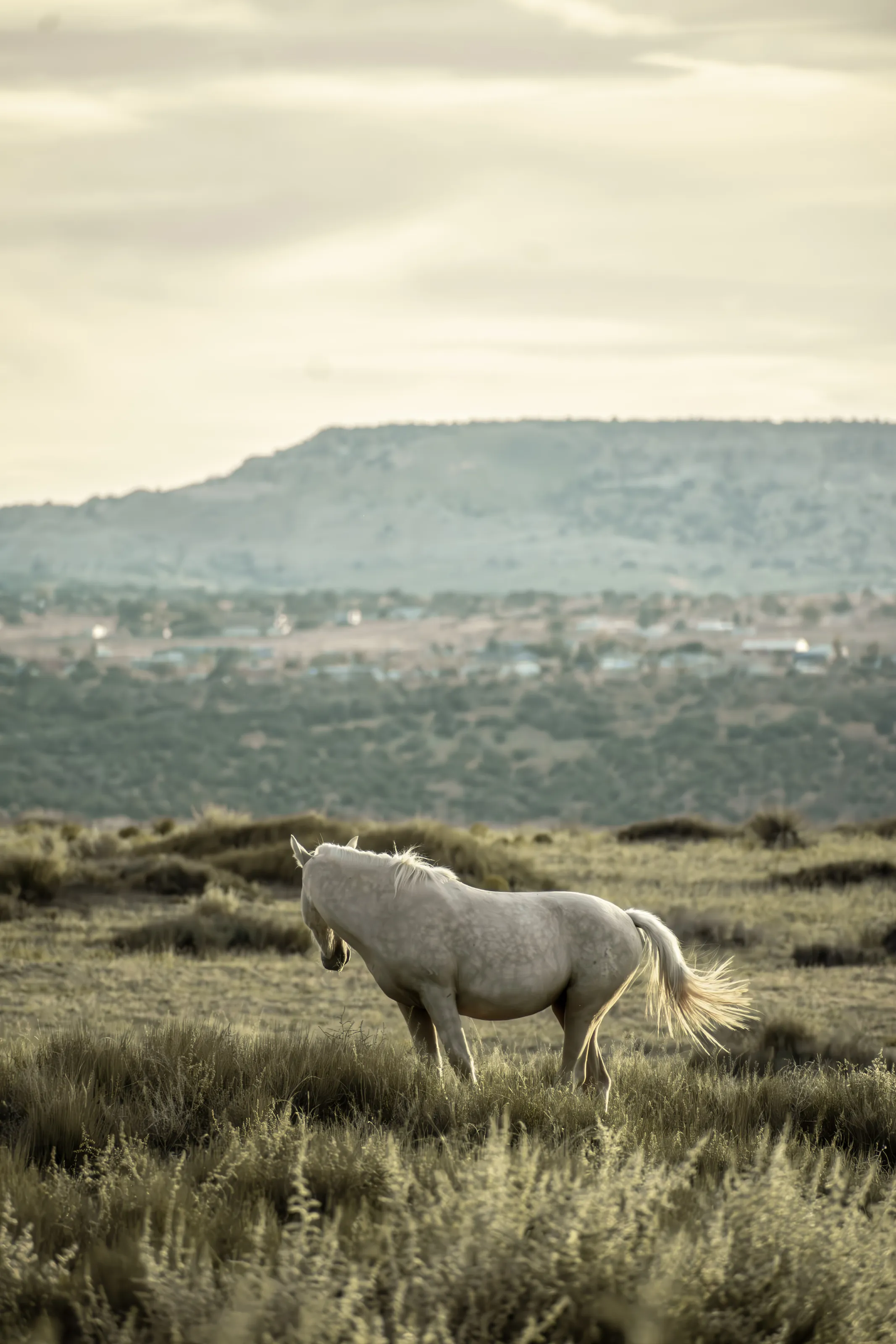 Solitude in the Valley