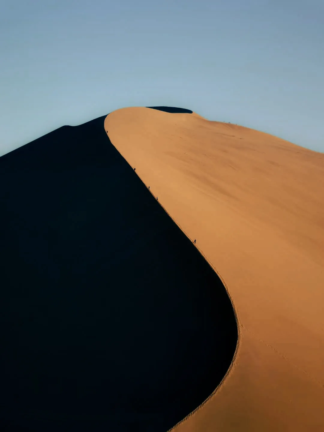 Light's Path