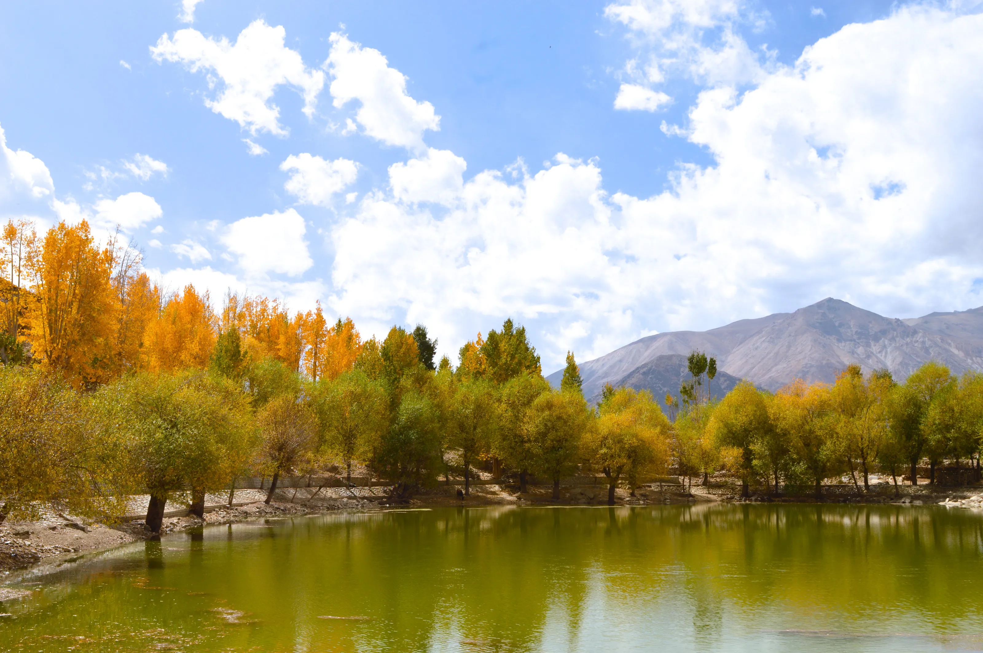 Himalayan Paradise
