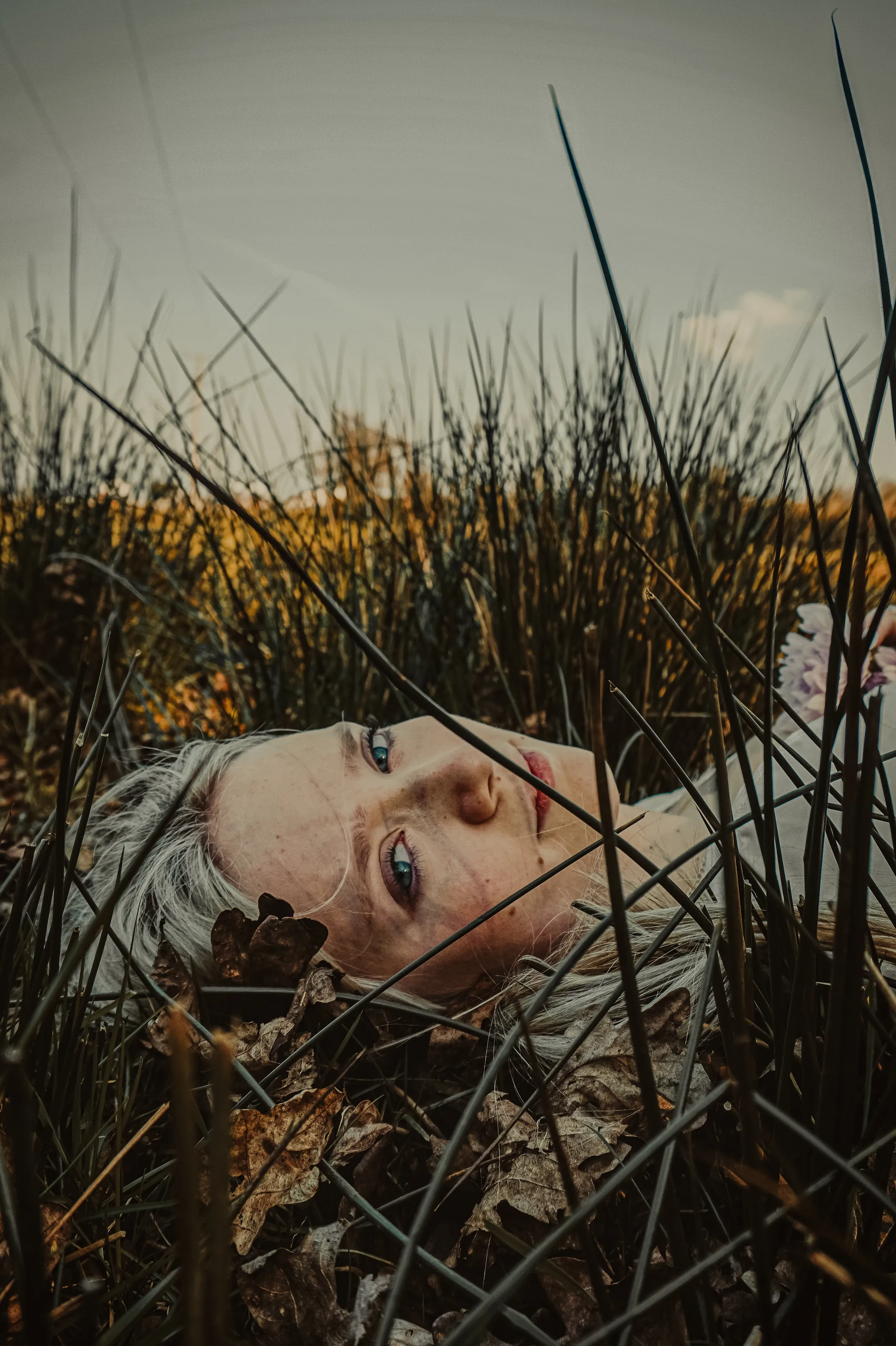 Girl laying in the leaves