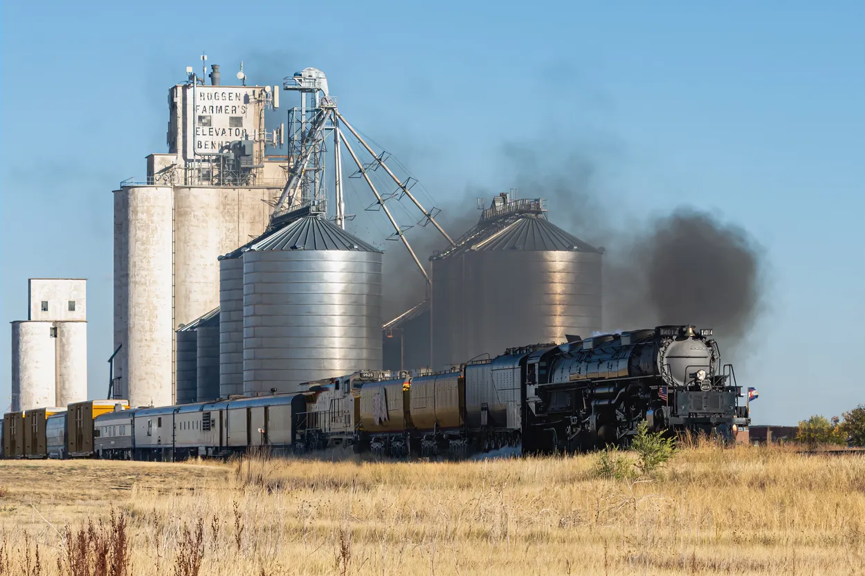 Entry 28608864