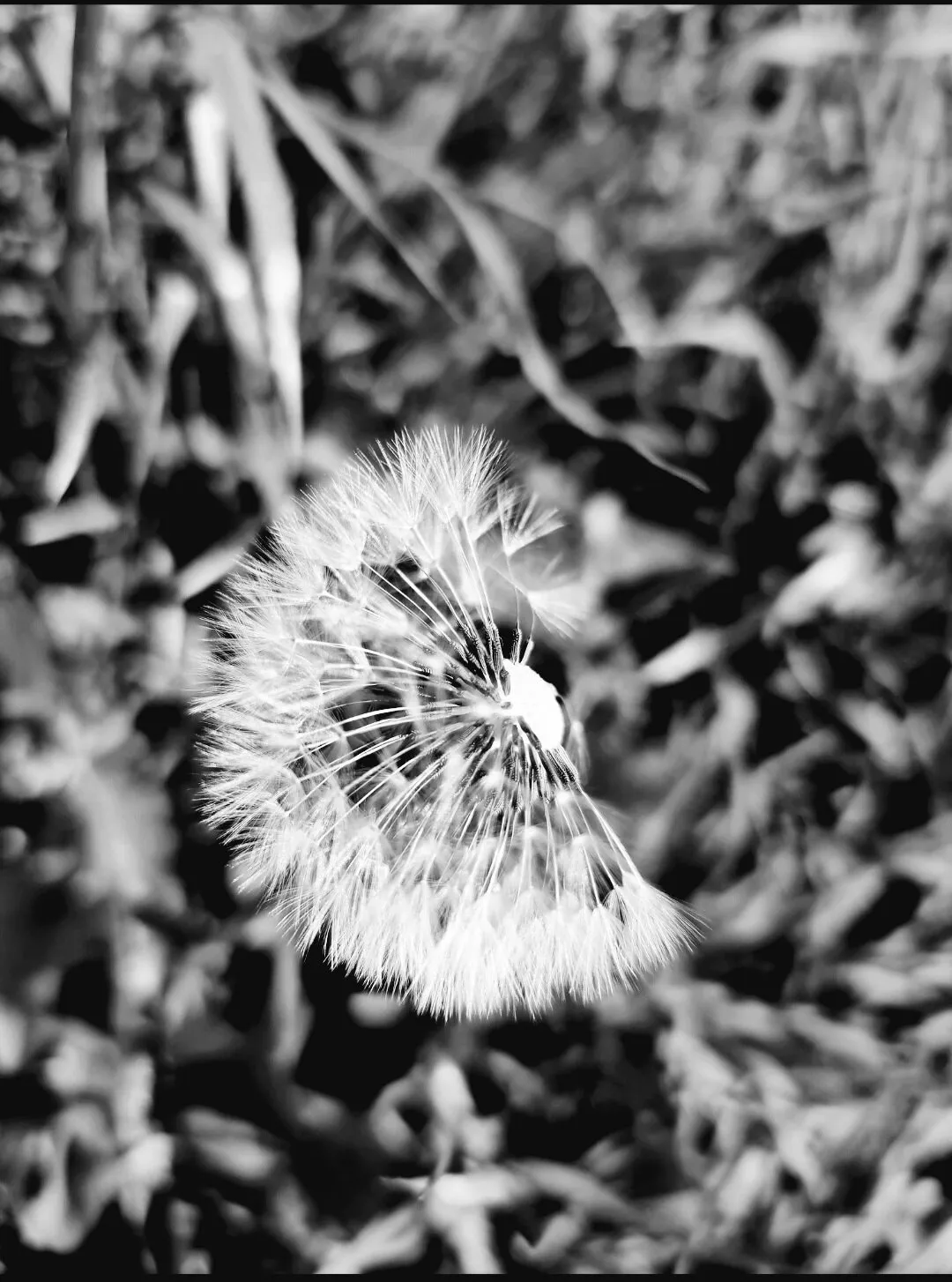 From dust till dawn