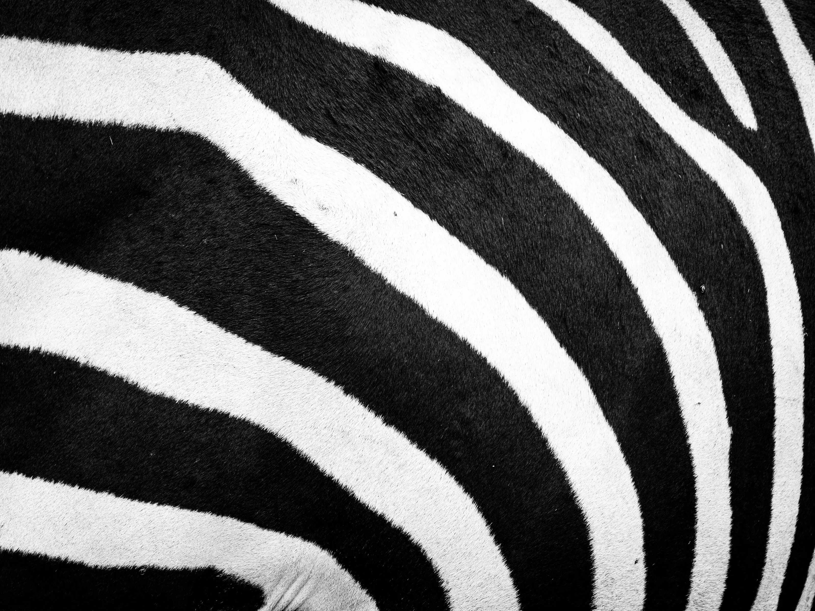 Black&White