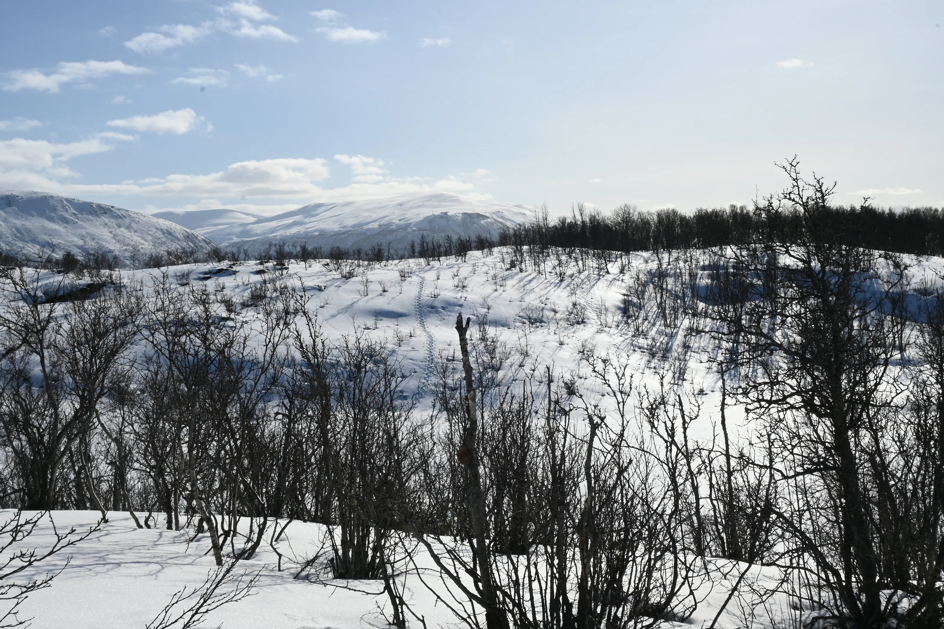Nearing the End of Winter in Tromso