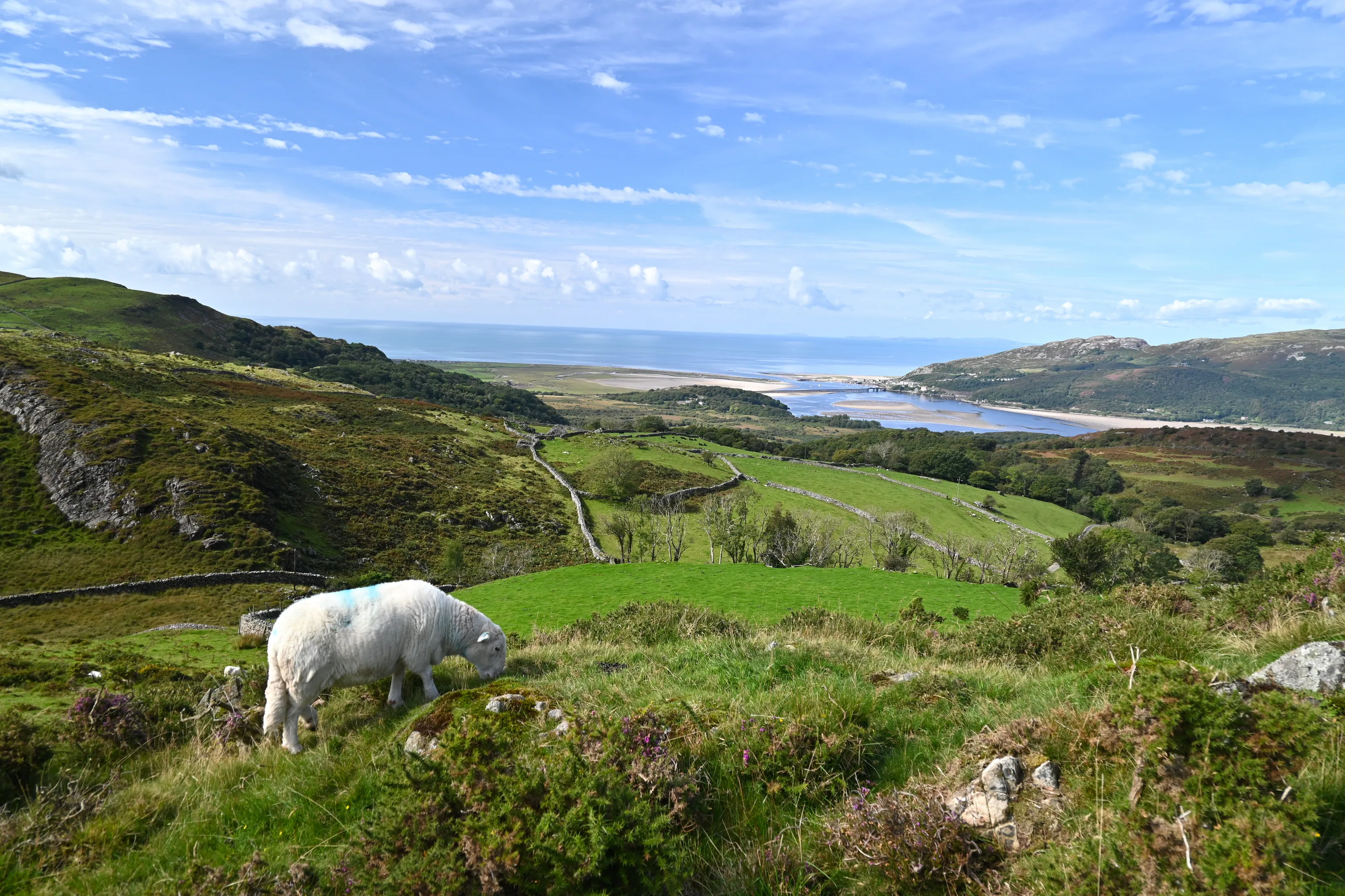 The Mawddach Estuary
