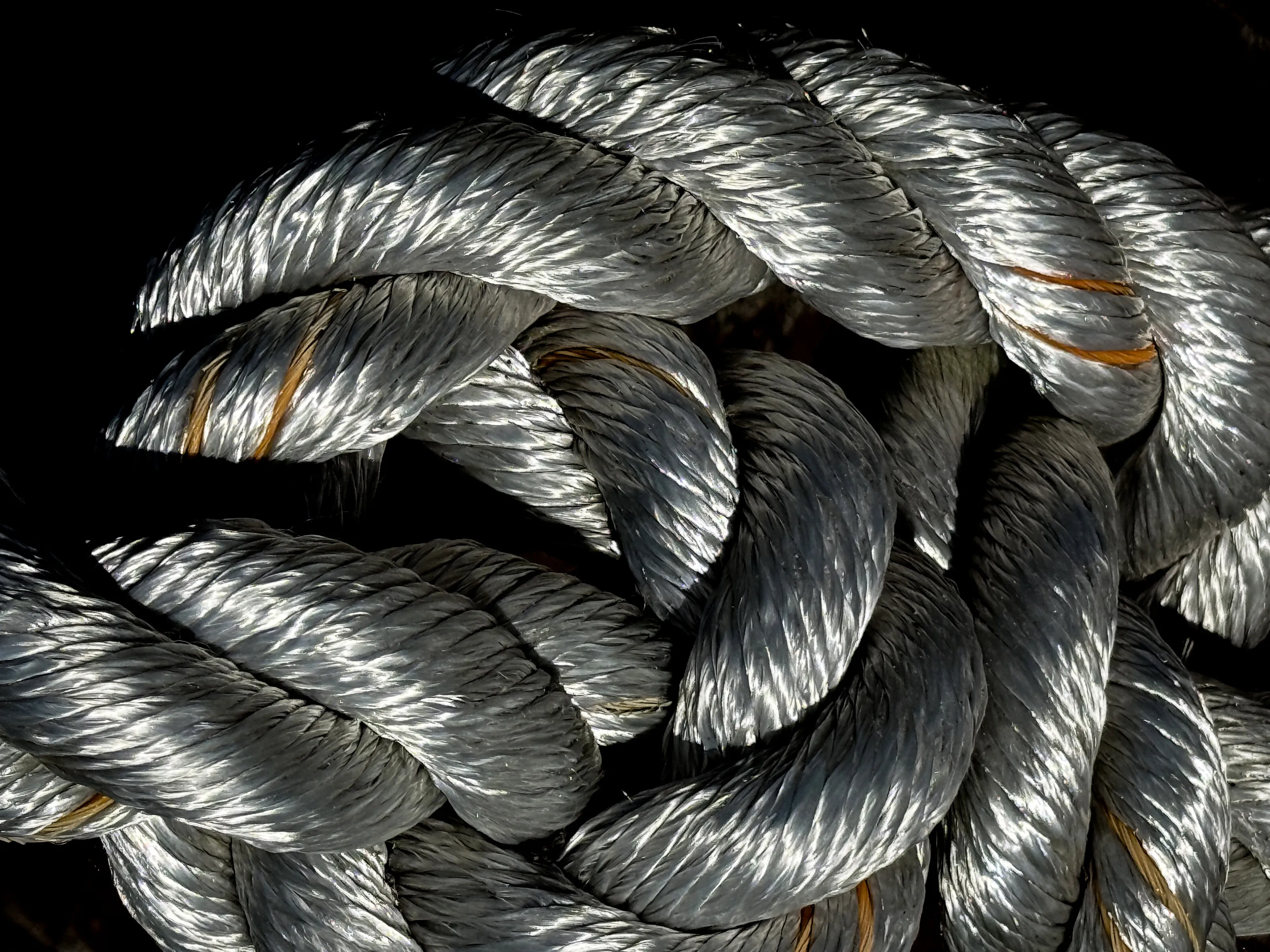 In Knots