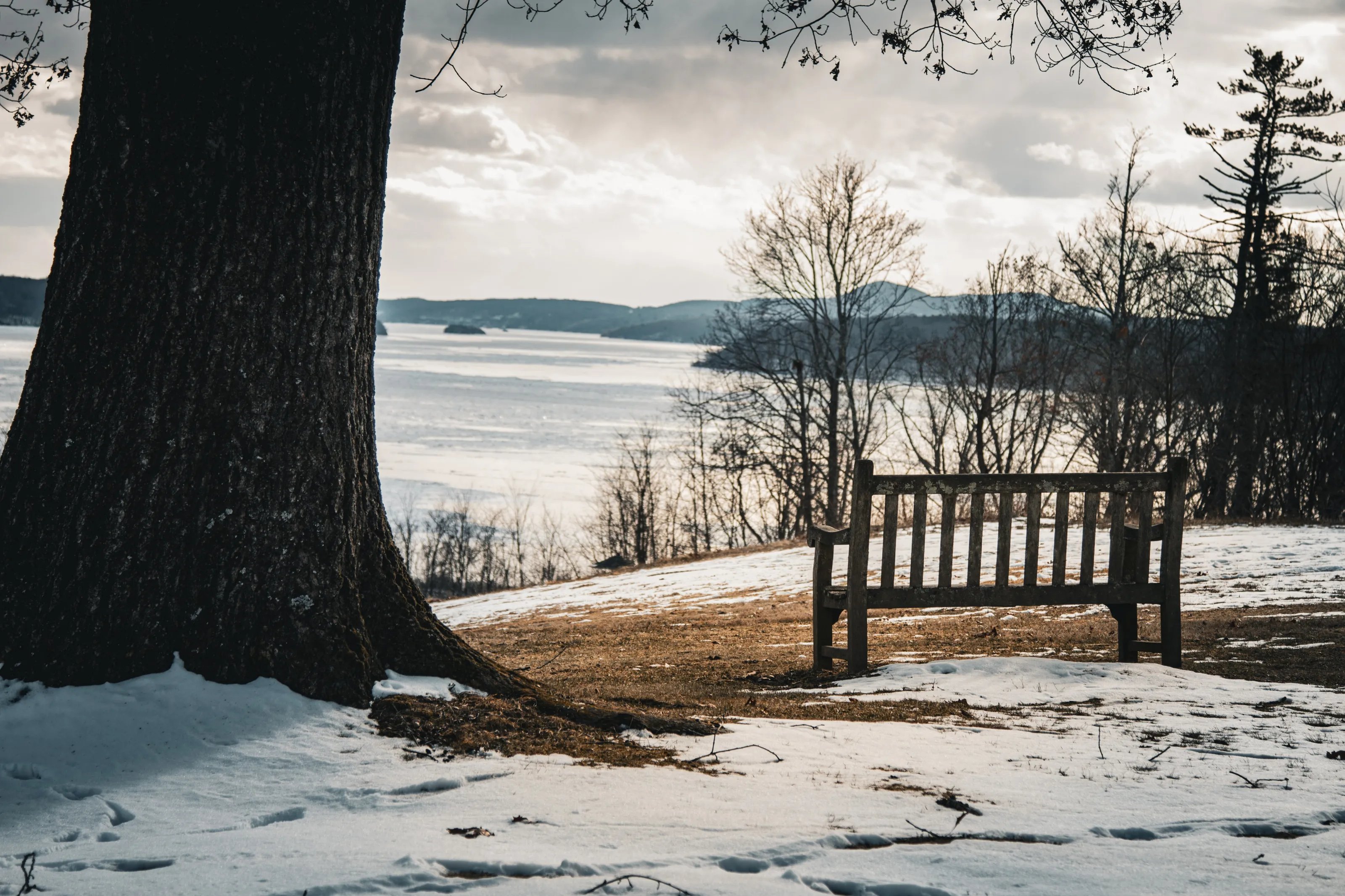 A Winter Scene