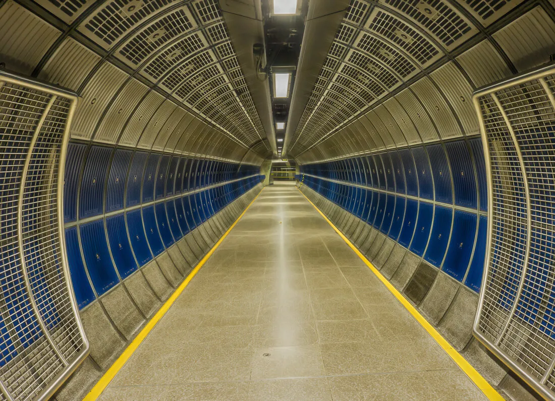 Entry 2545106