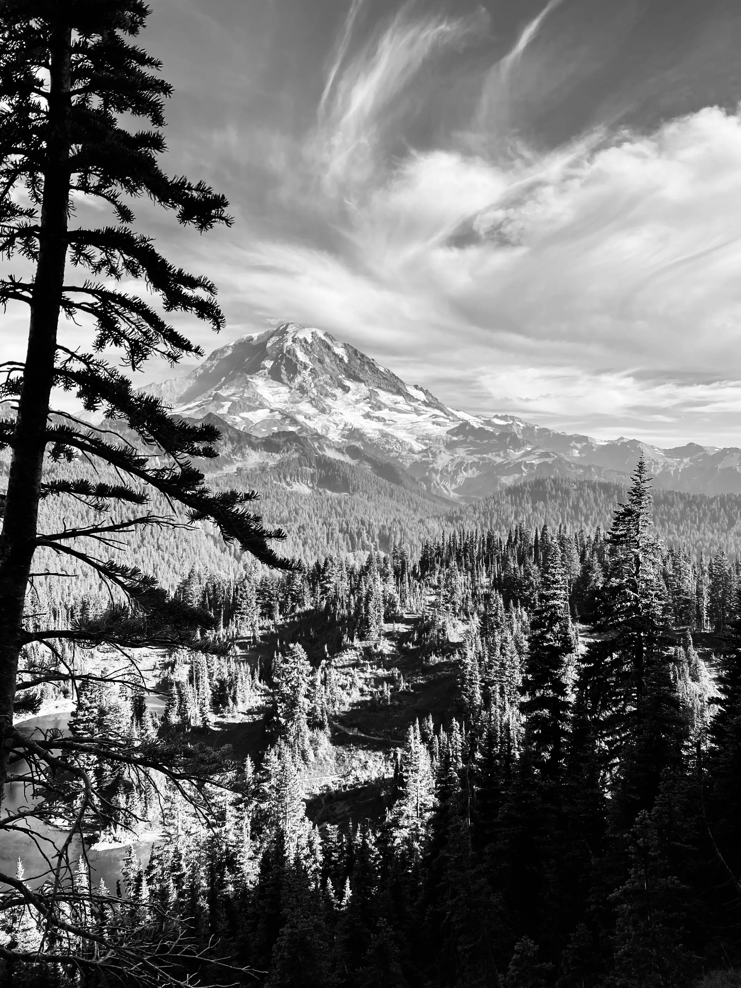 Mount Rainer
