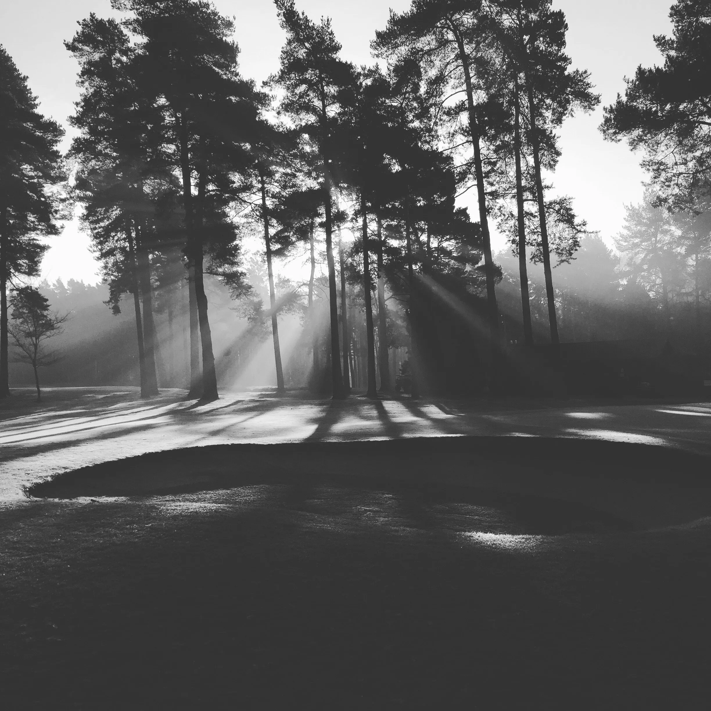 #Daybreak #landscape
