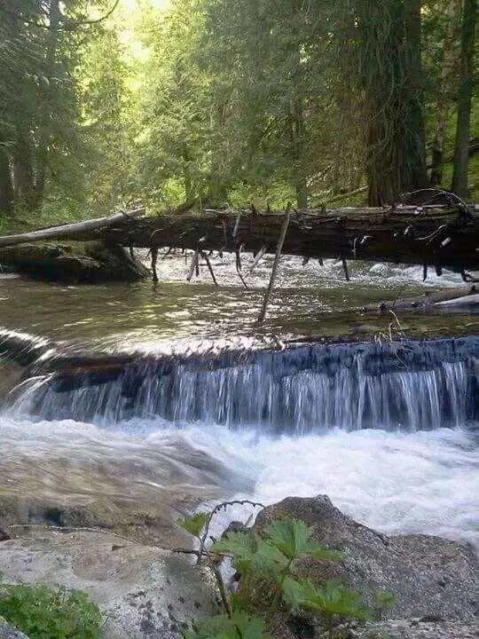 Idaho creek