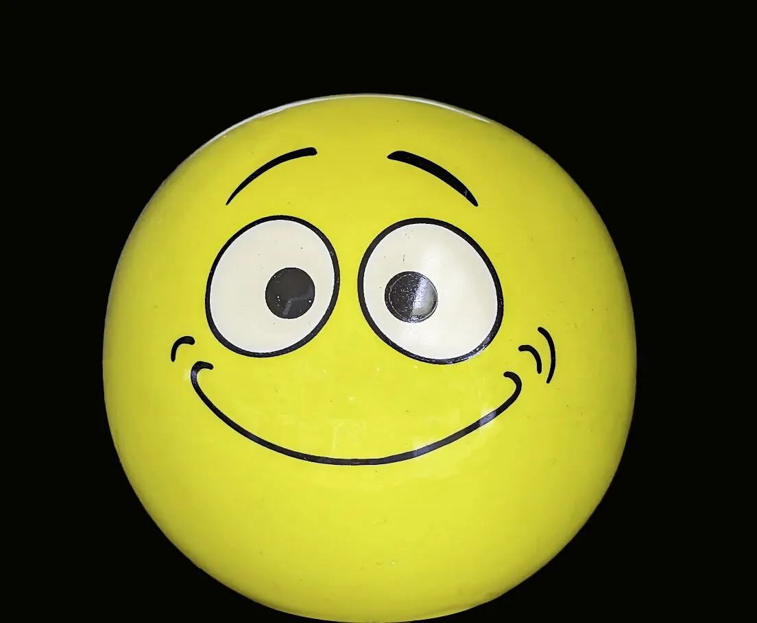 Entry 23936263
