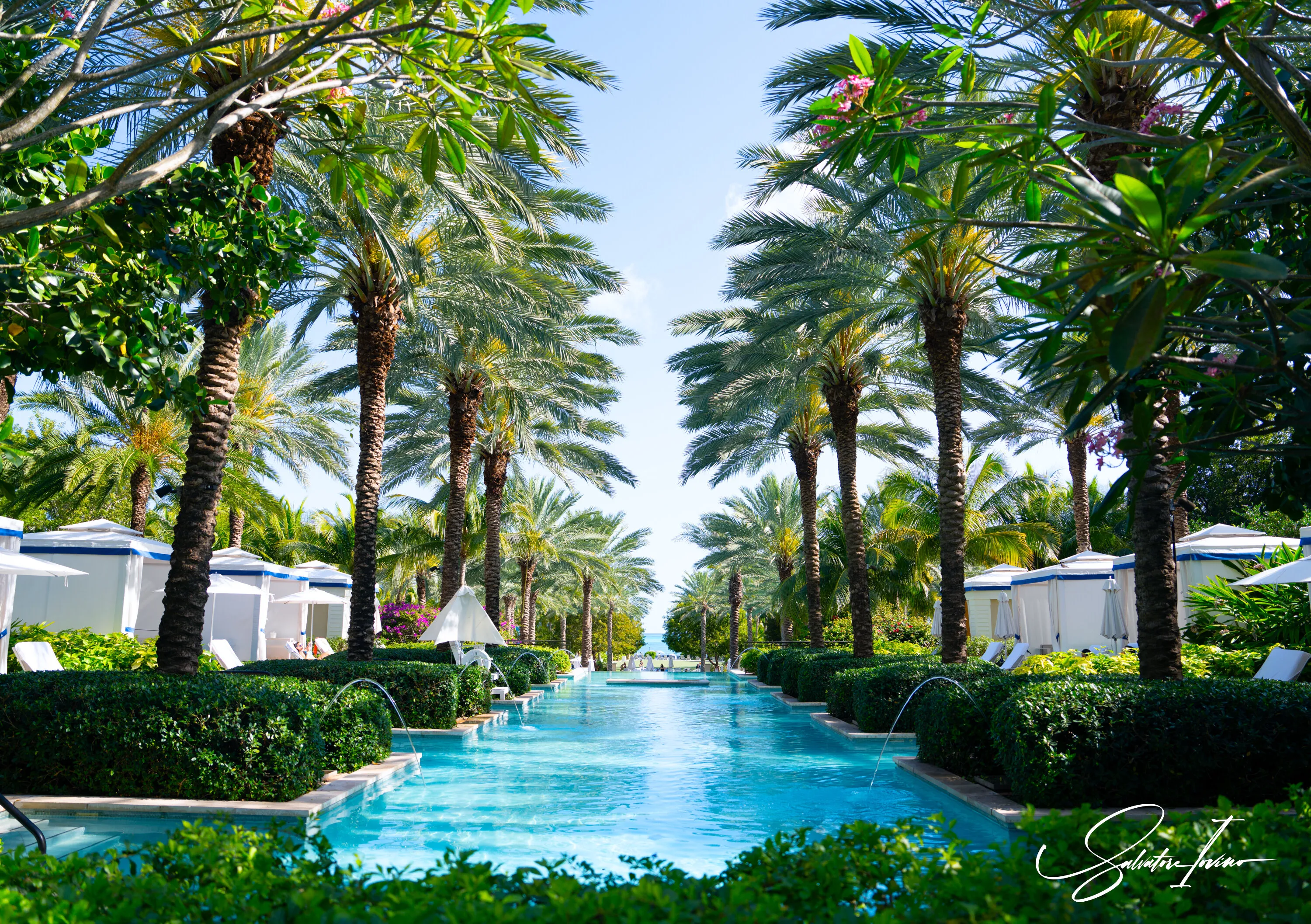 Hot Sun, Chilled Pool, and Pretty Palm Trees